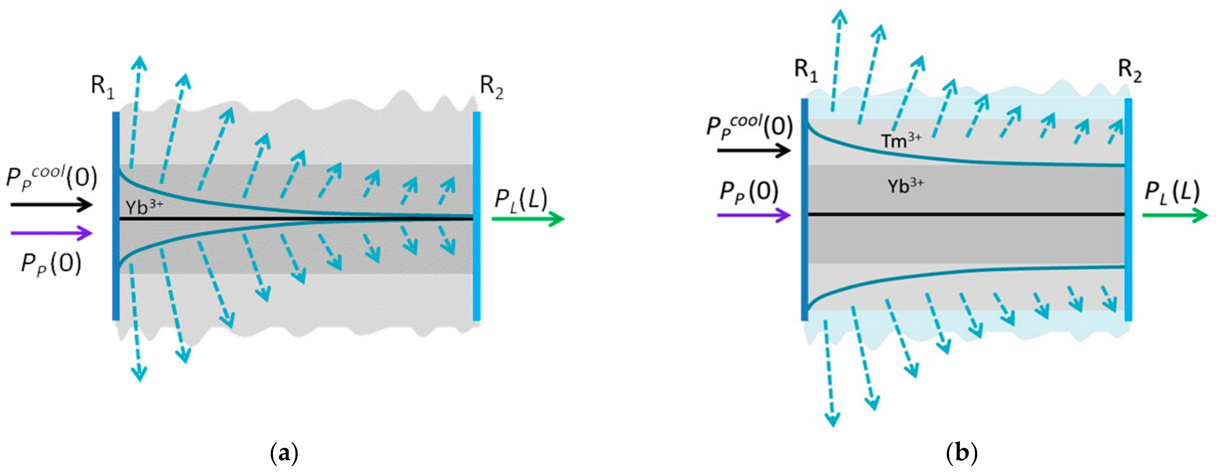 Applsci 11 07539 g013