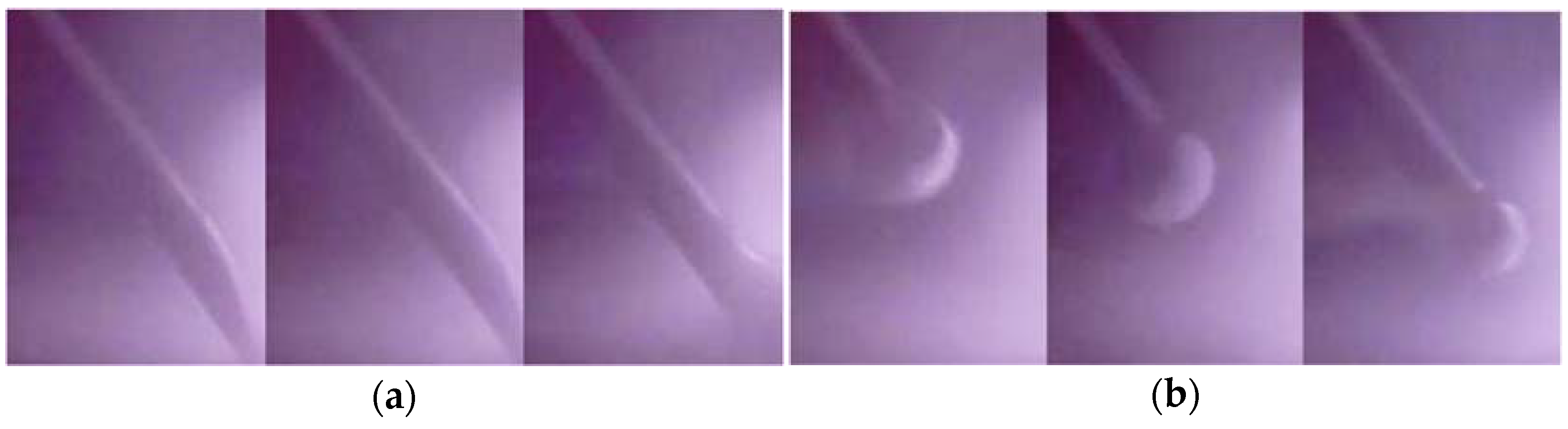 Applsci 11 07541 g003