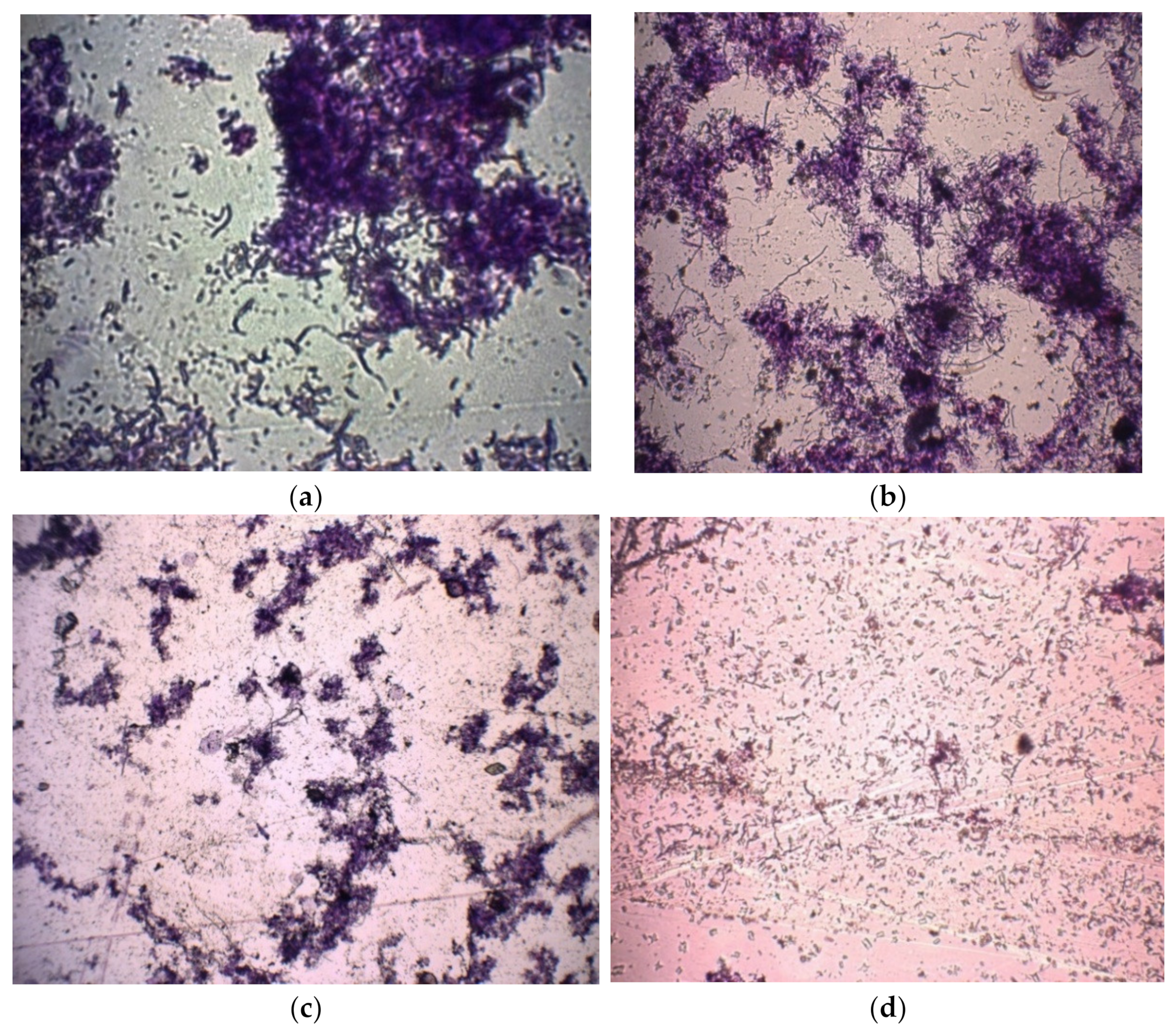 Applsci 11 07551 g006