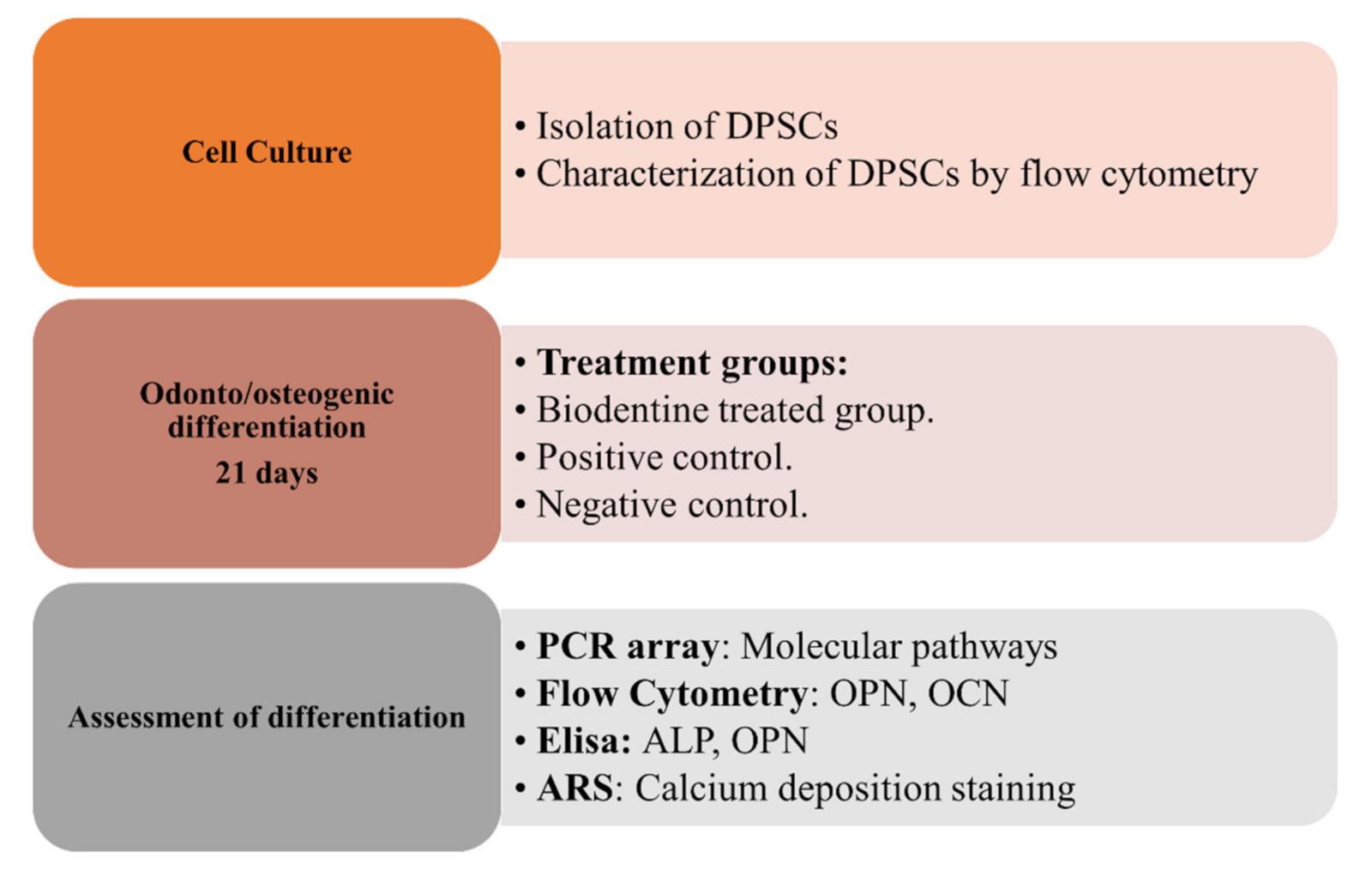 Applsci 11 07563 g001