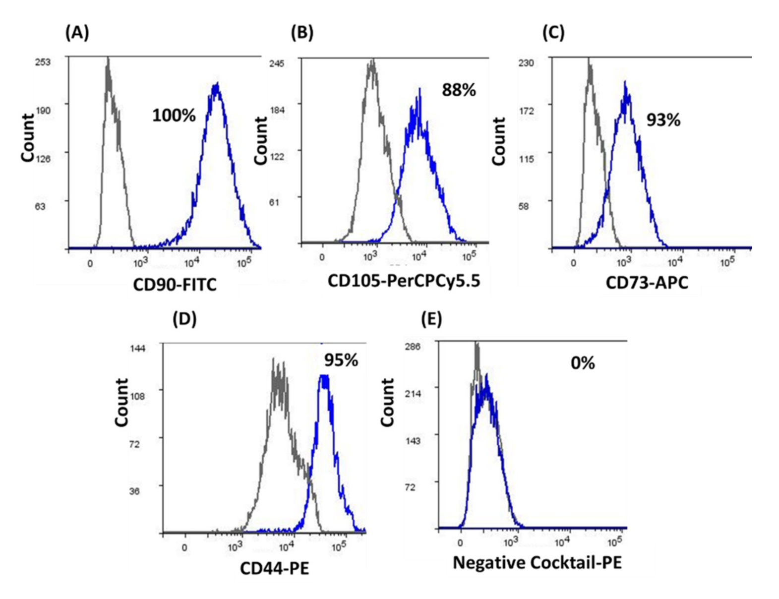 Applsci 11 07563 g002
