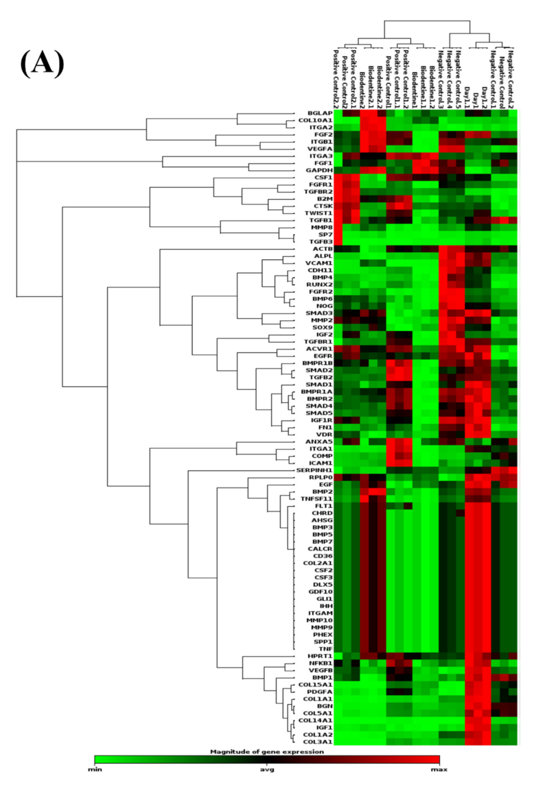 Applsci 11 07563 g003a