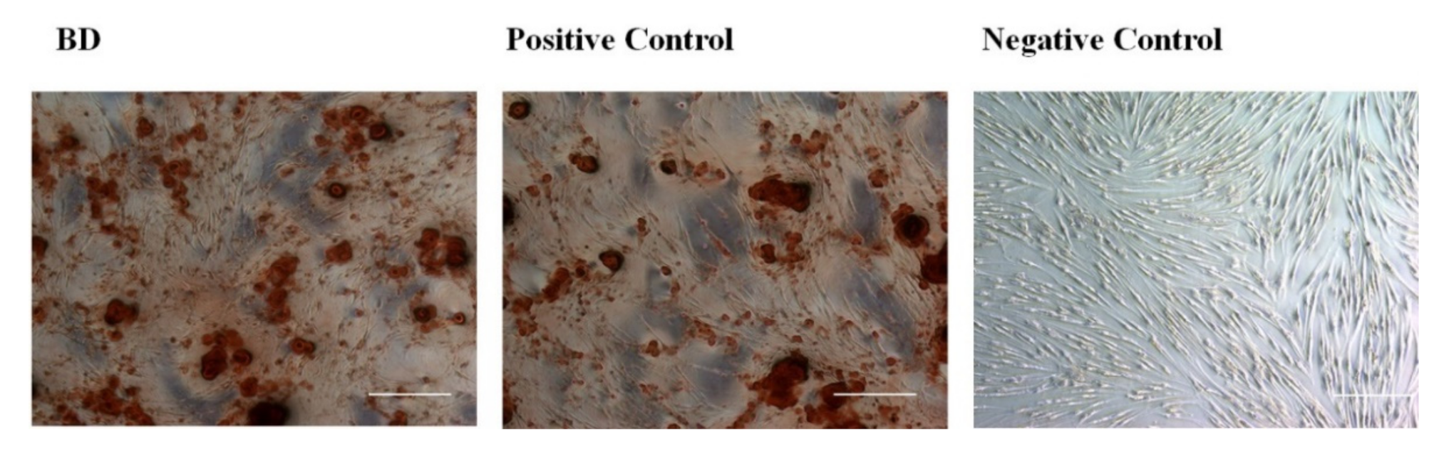 Applsci 11 07563 g006