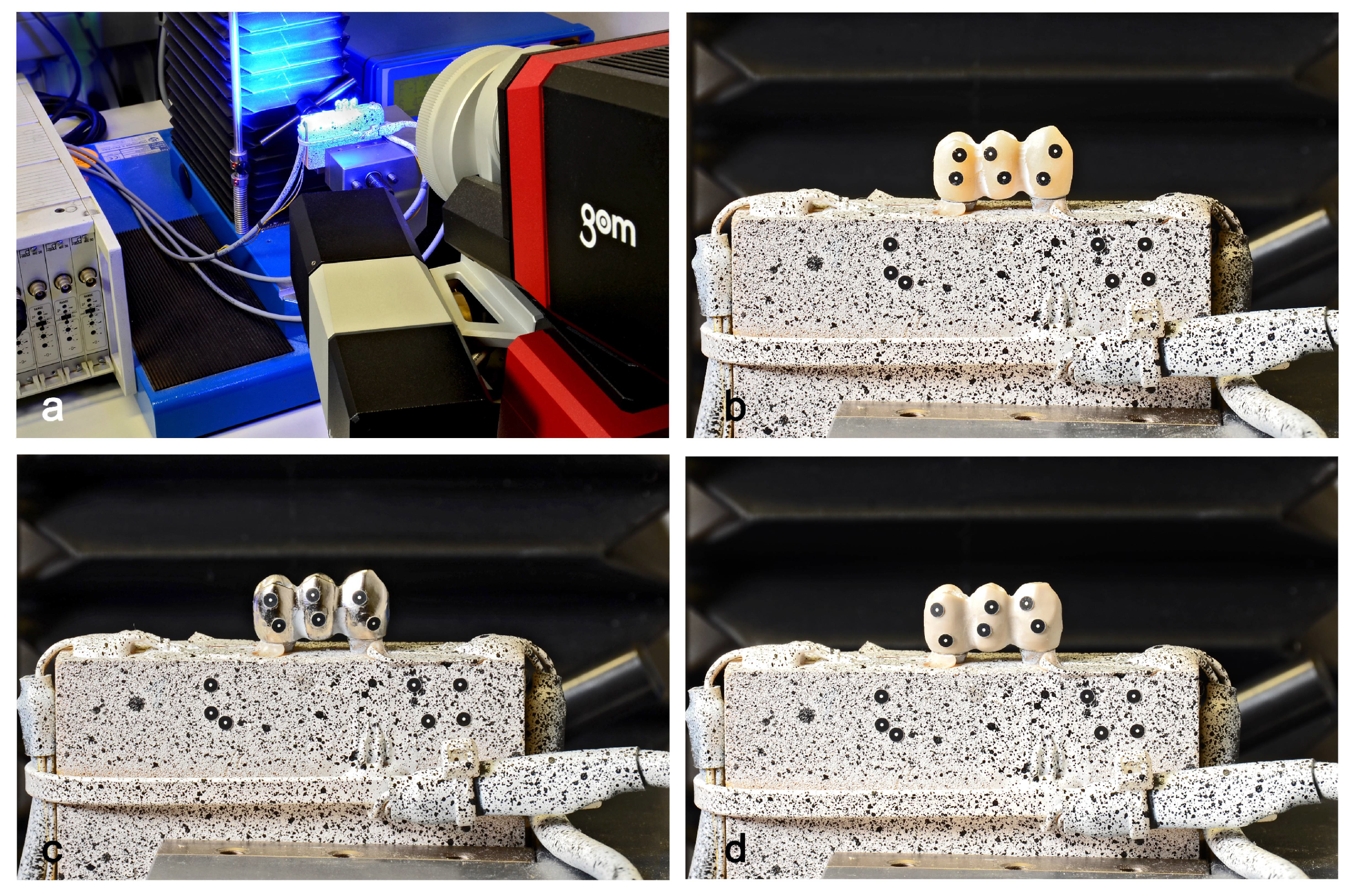 Applsci 11 07568 g001