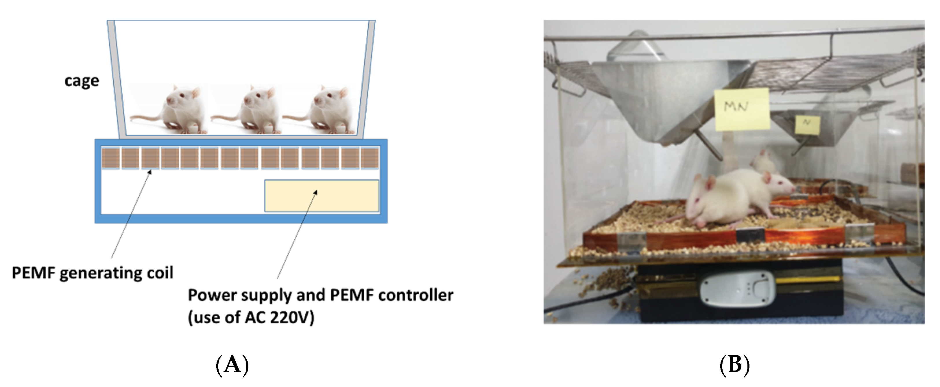 Applsci 11 07571 g002