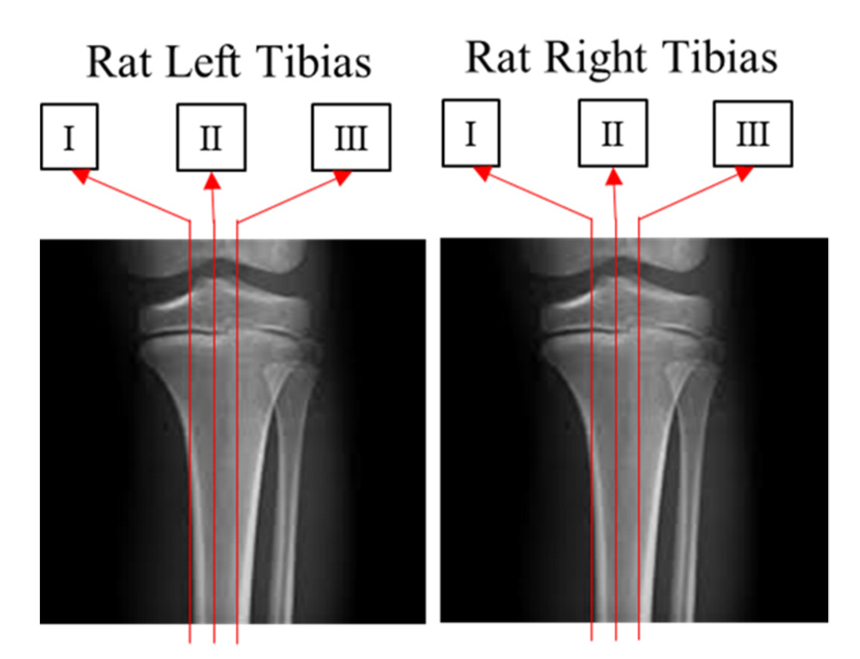 Applsci 11 07571 g003