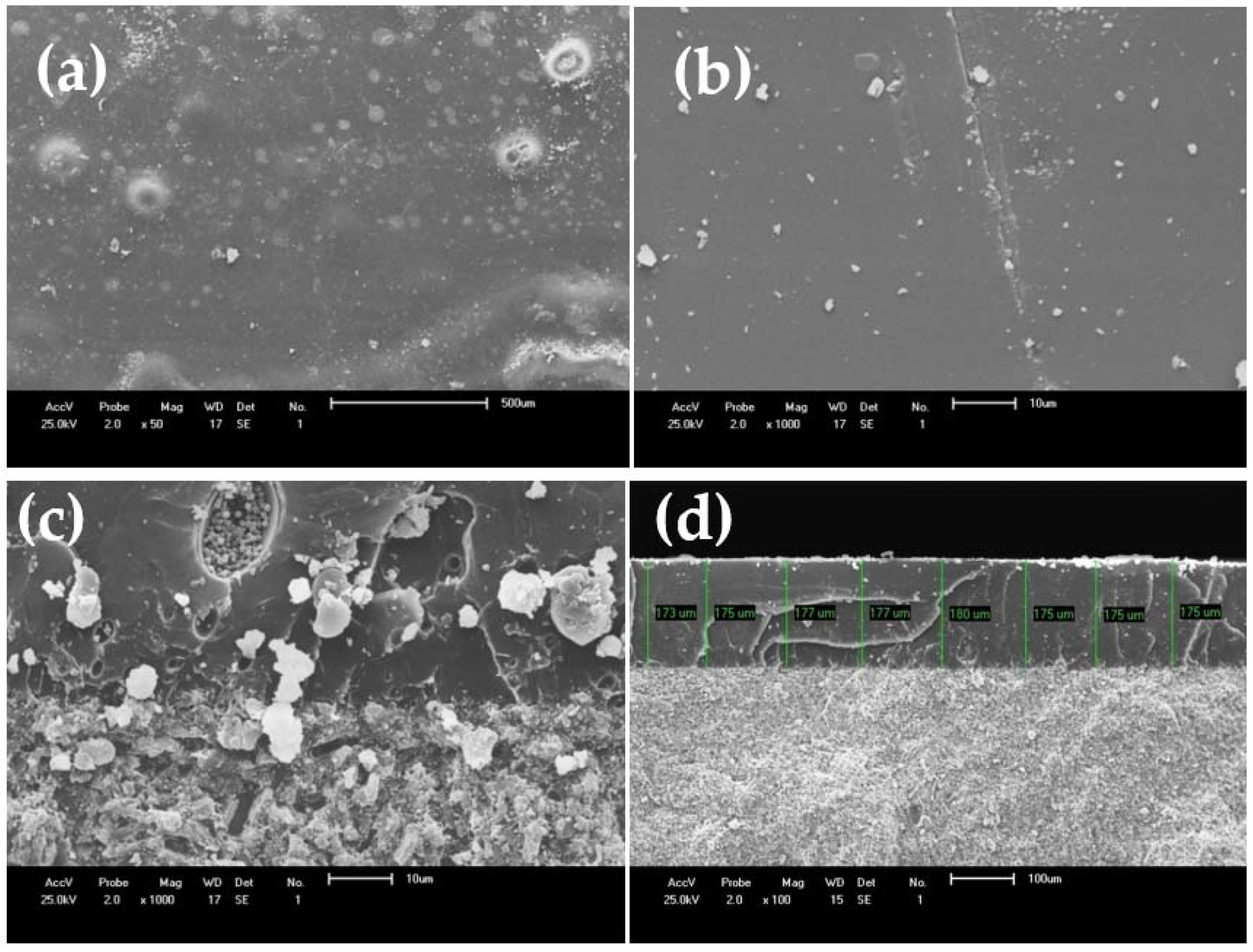 Applsci 11 07583 g006