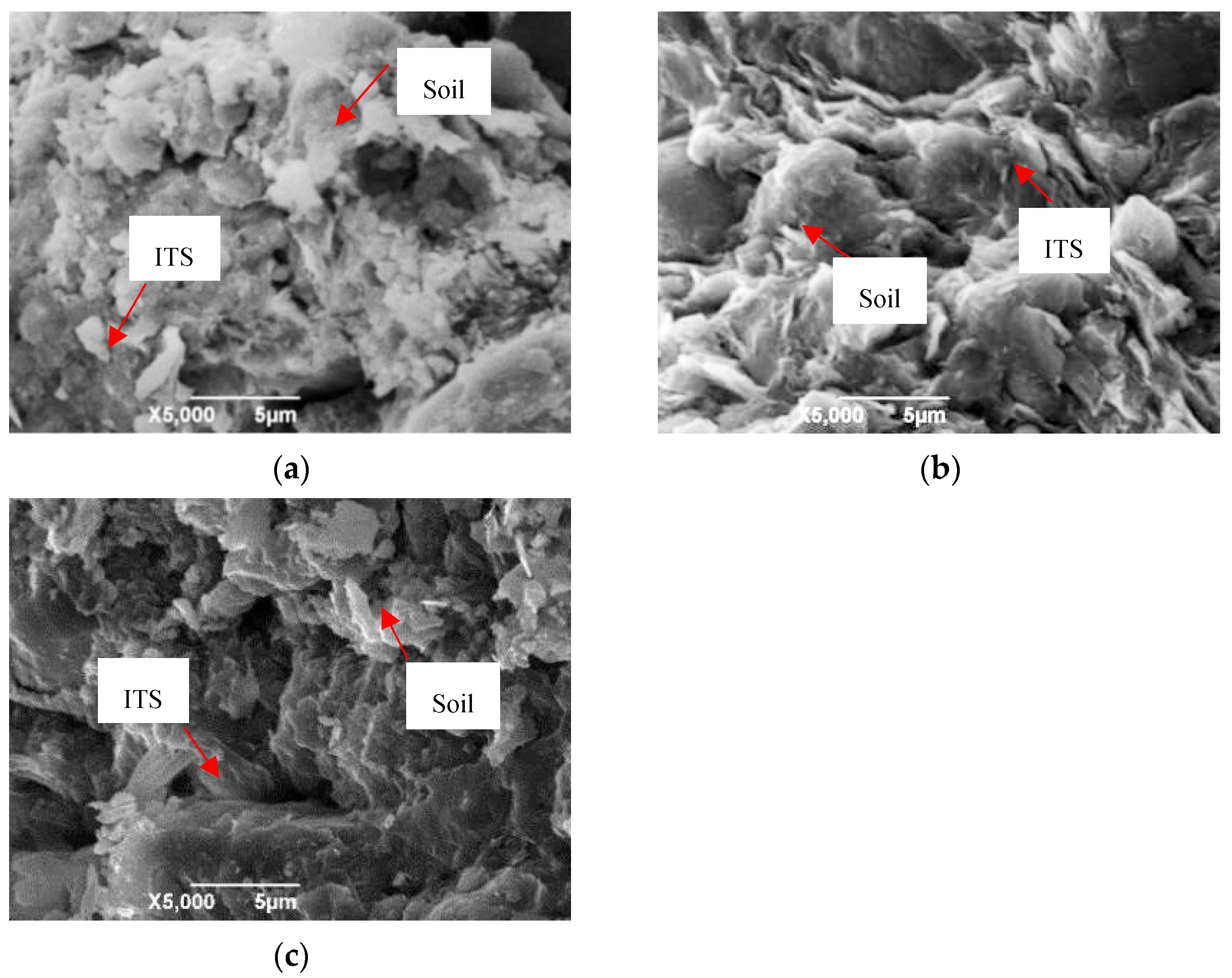 Applsci 11 07587 g011