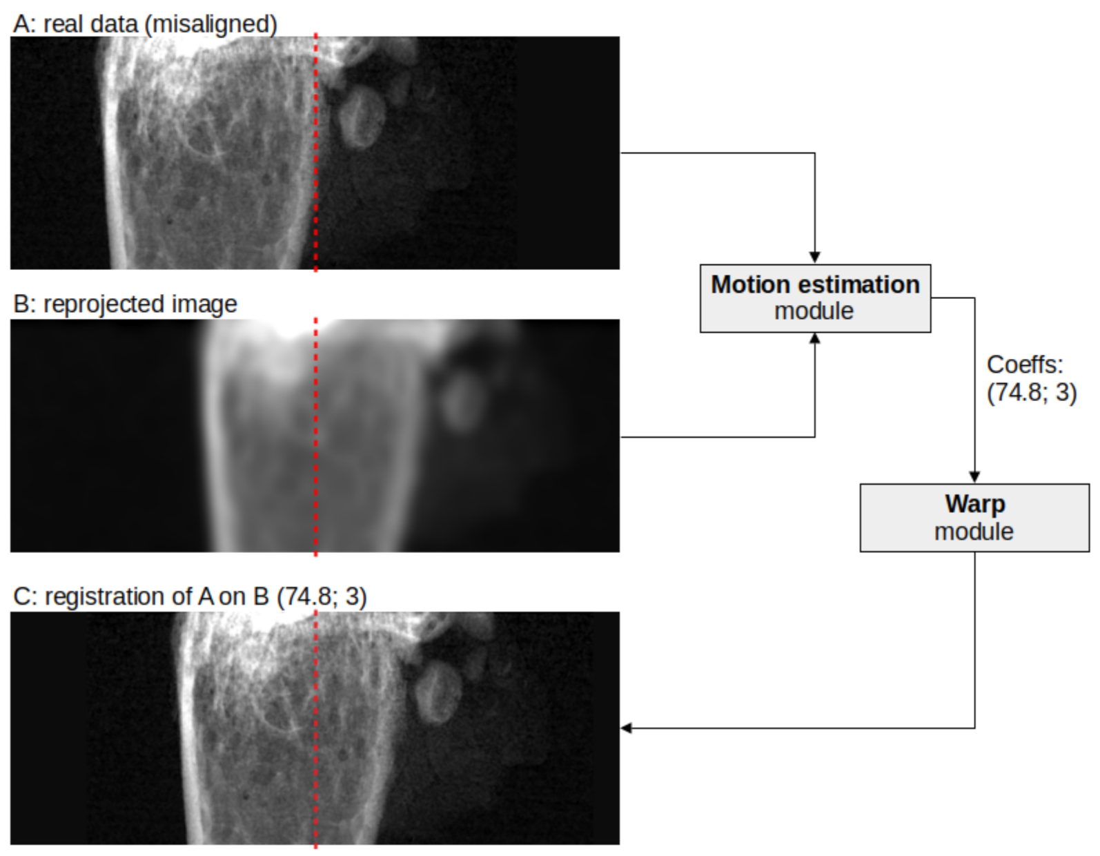Applsci 11 07598 g001