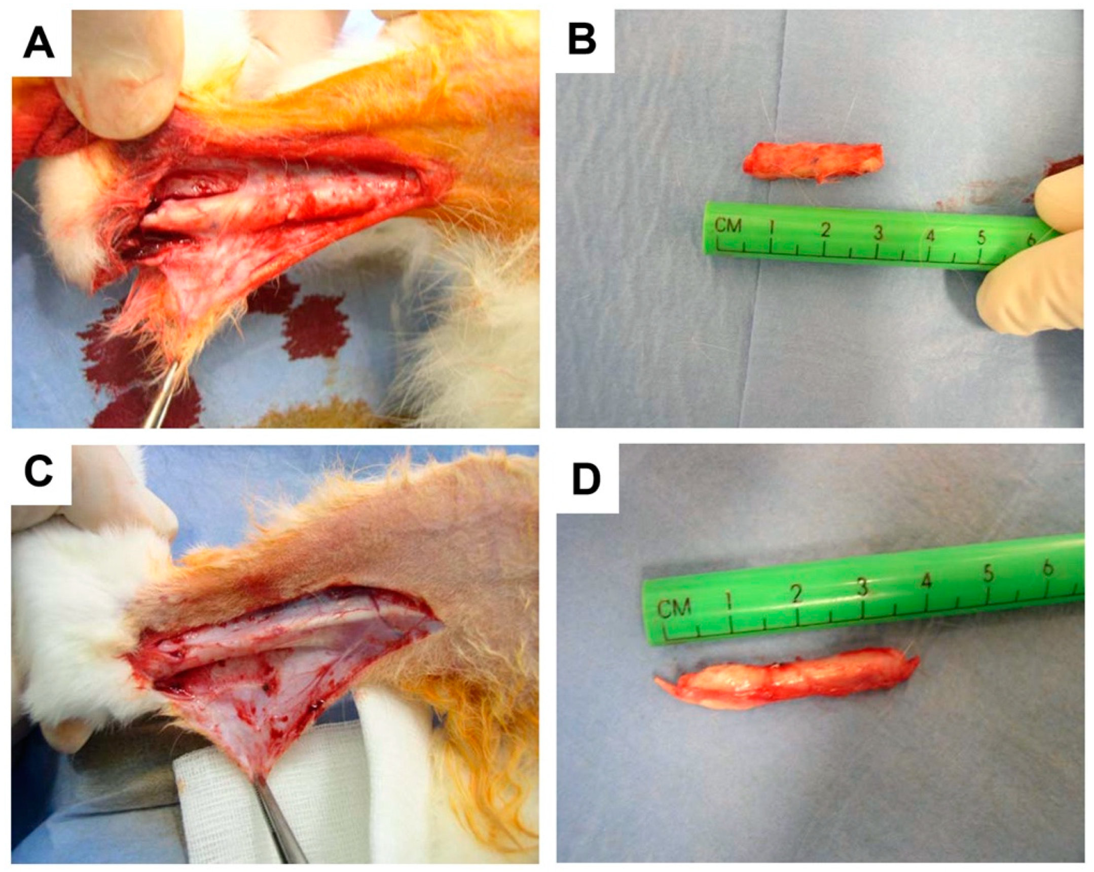 Applsci 11 07613 g002