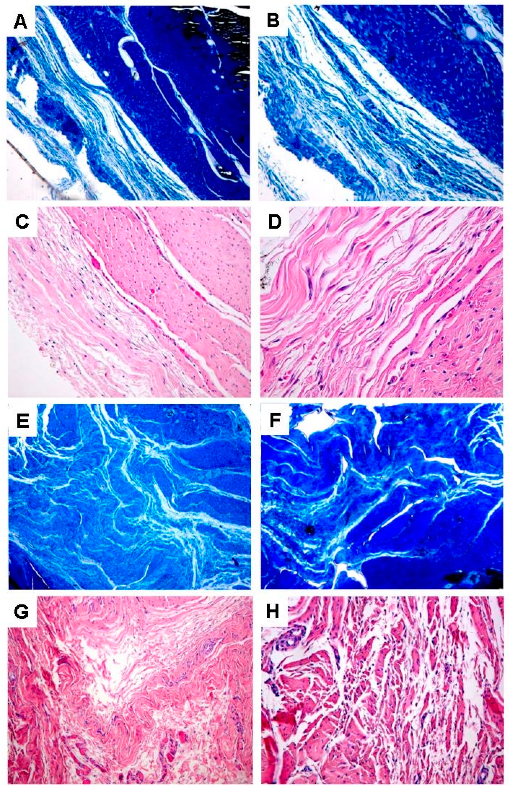 Applsci 11 07613 g003