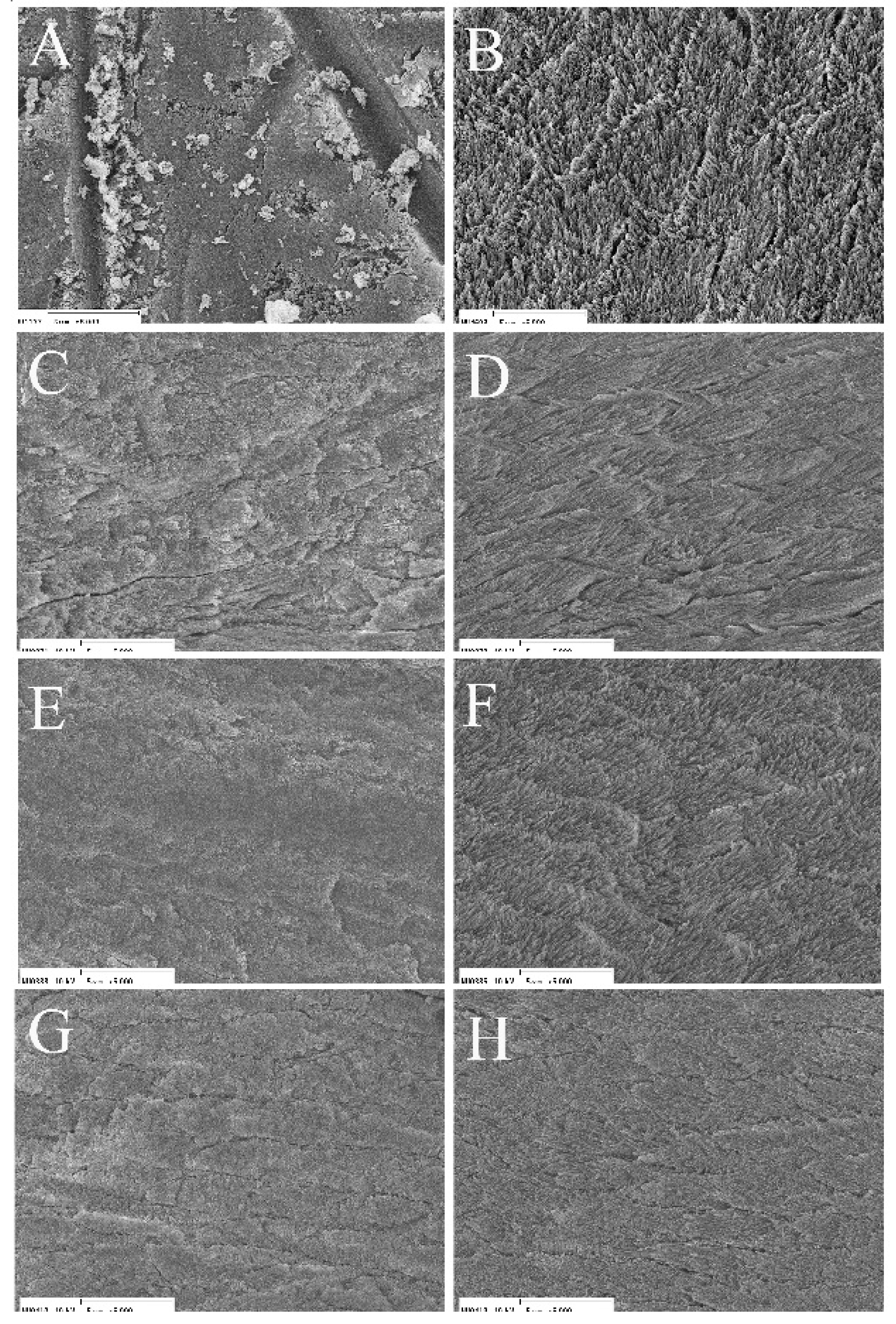 Applsci 11 07675 g006