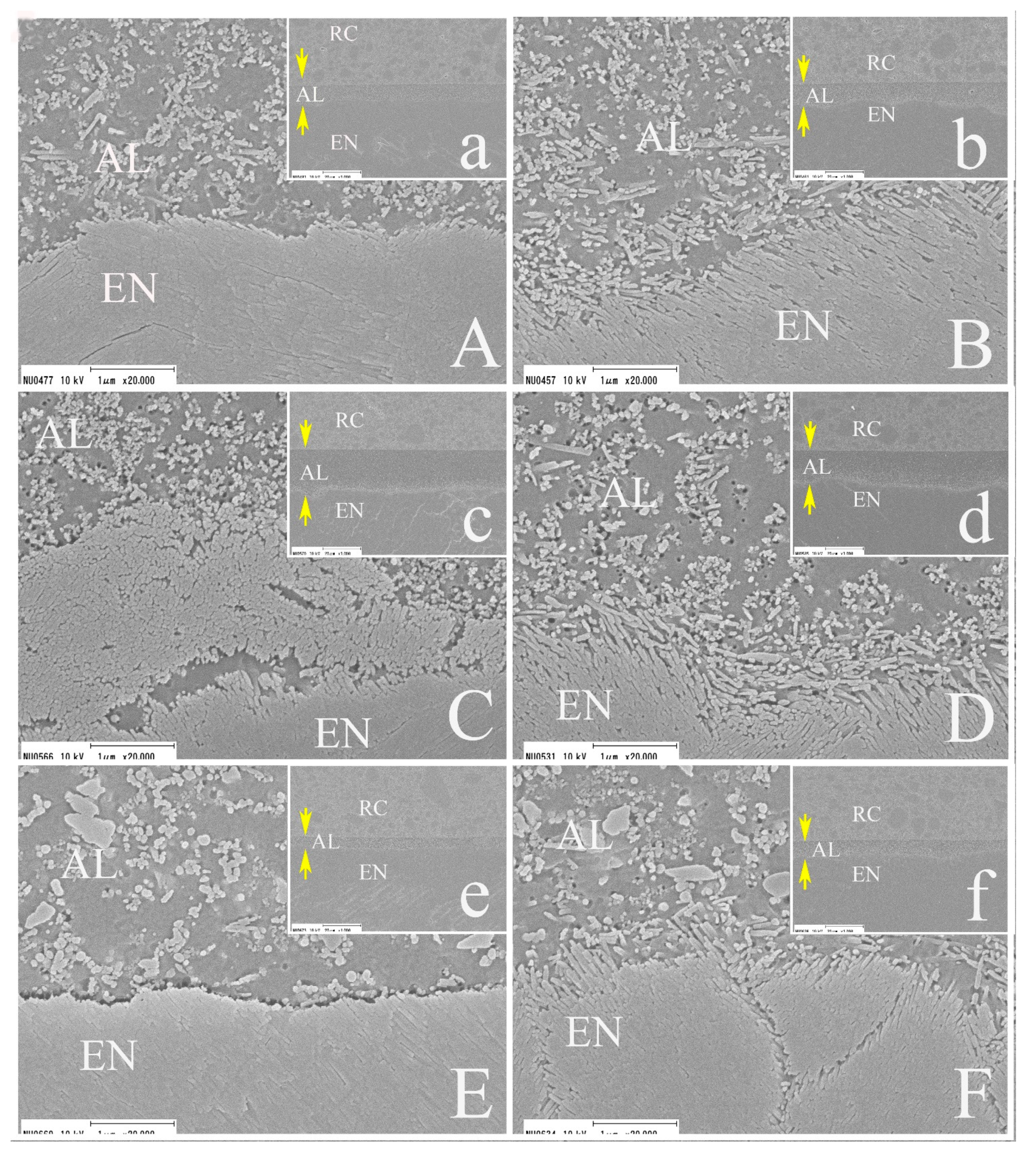 Applsci 11 07675 g007