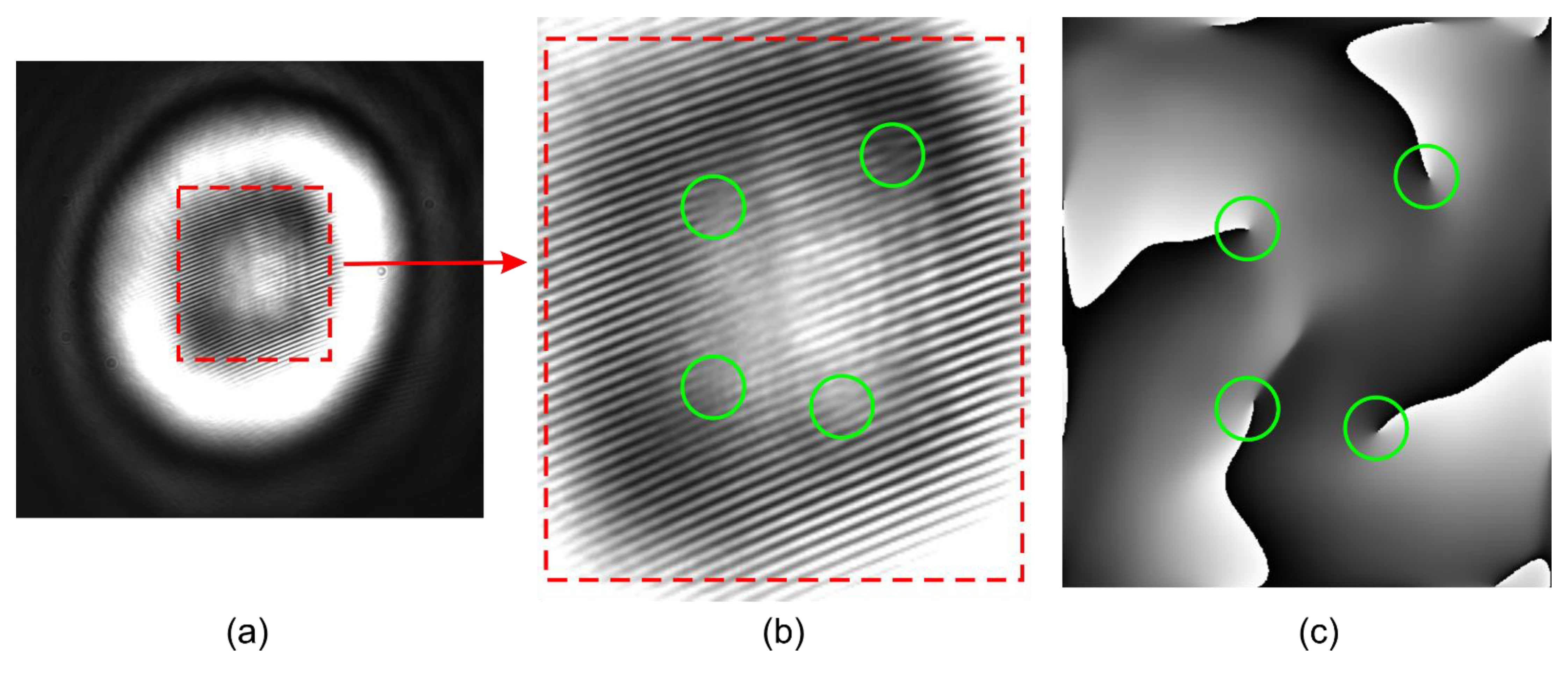 Applsci 11 07677 g009