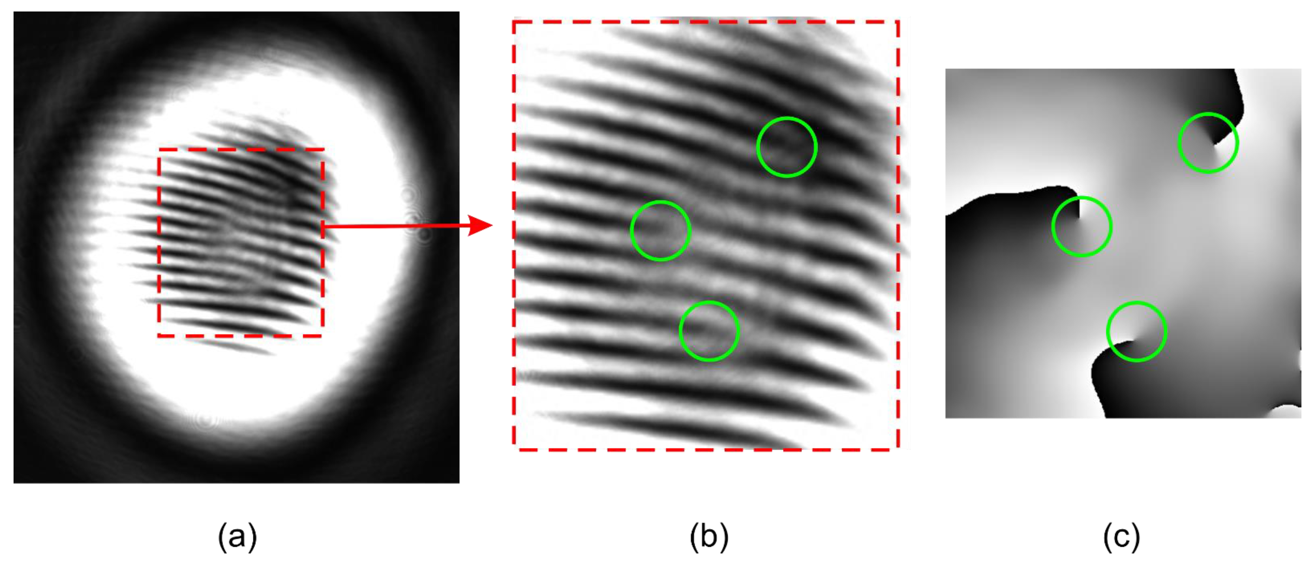 Applsci 11 07677 g010