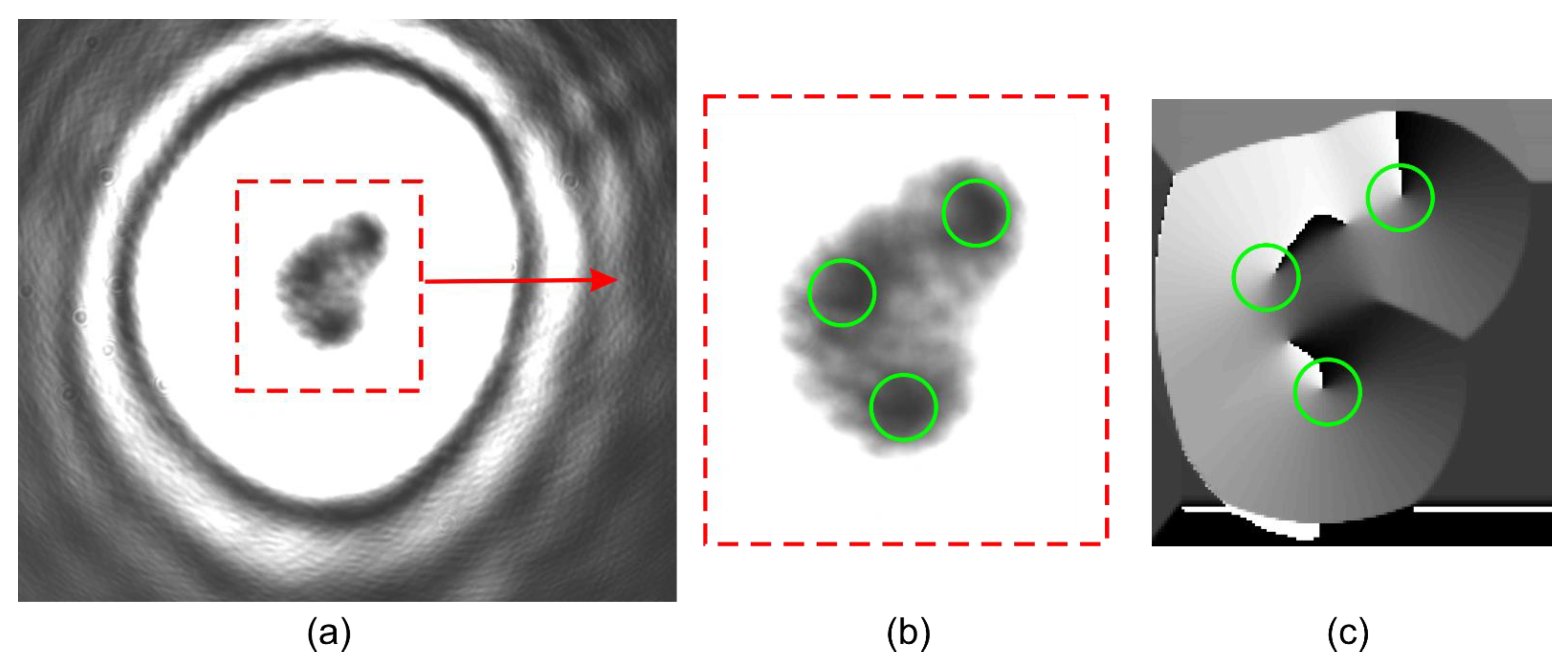 Applsci 11 07677 g011