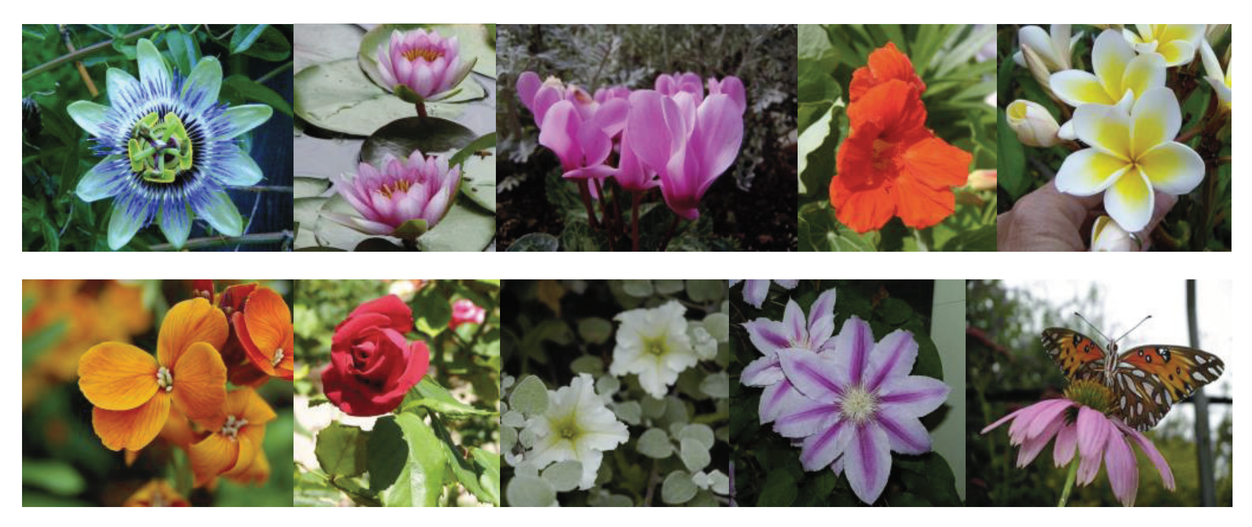 Applsci 11 07701 g005