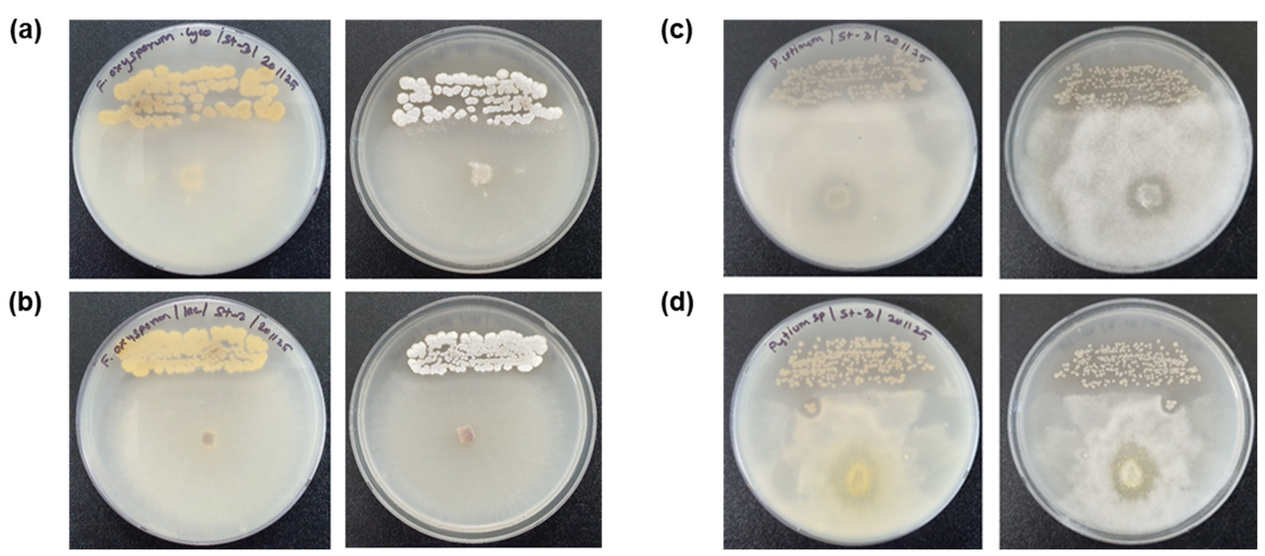 Applsci 11 07703 g003