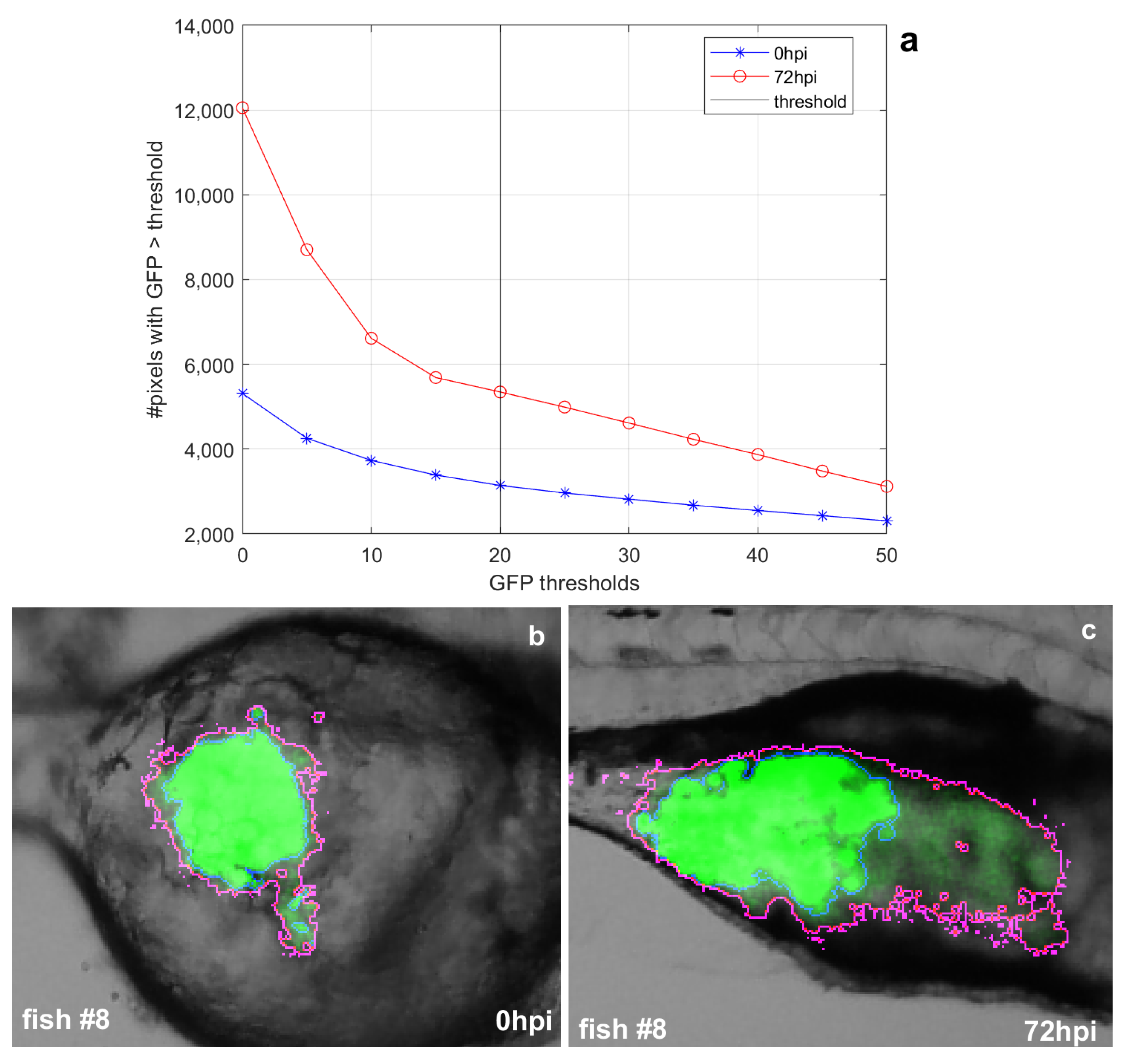Applsci 11 07721 g002