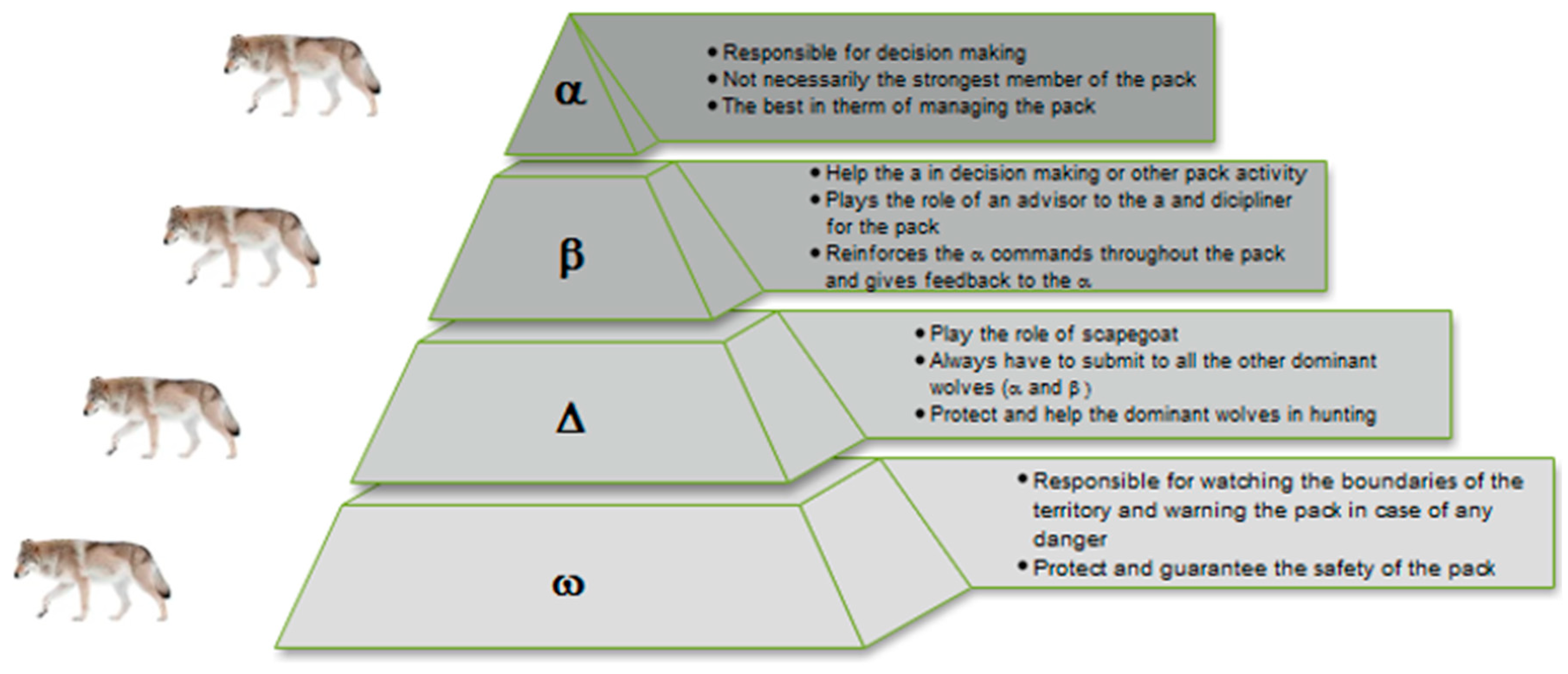 Applsci 11 07732 g006