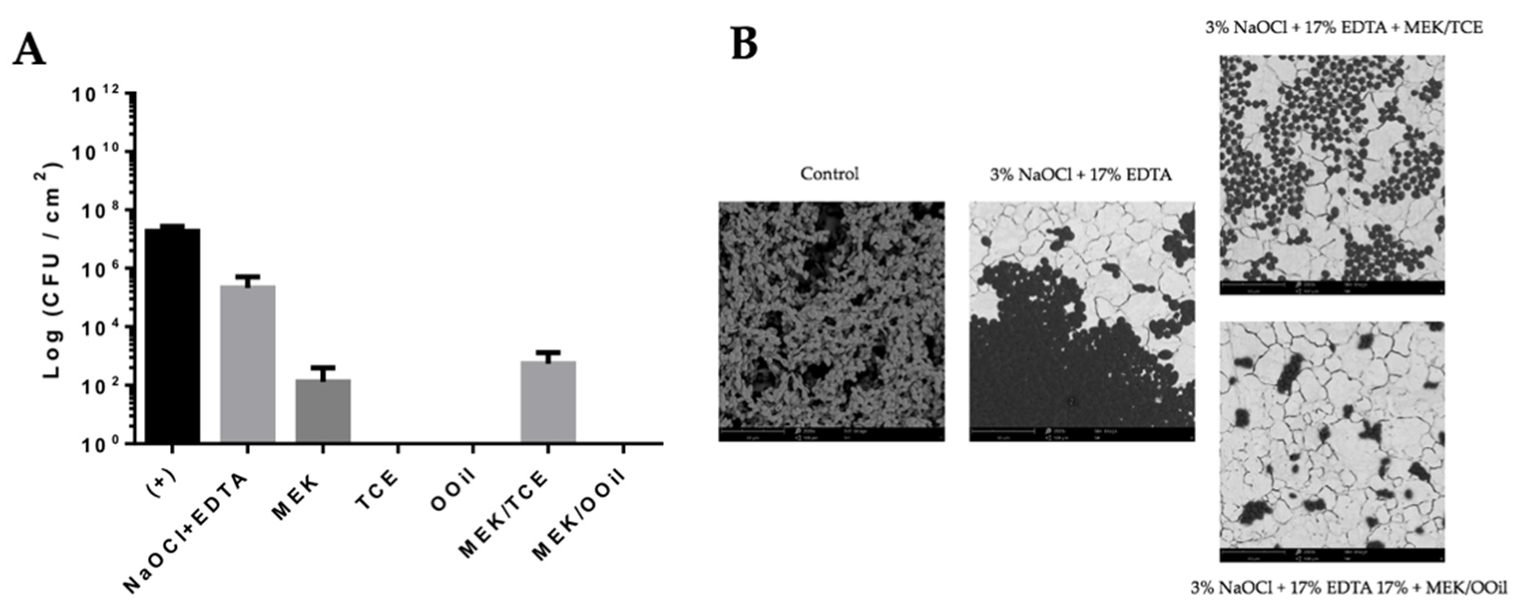 Applsci 11 07748 g001