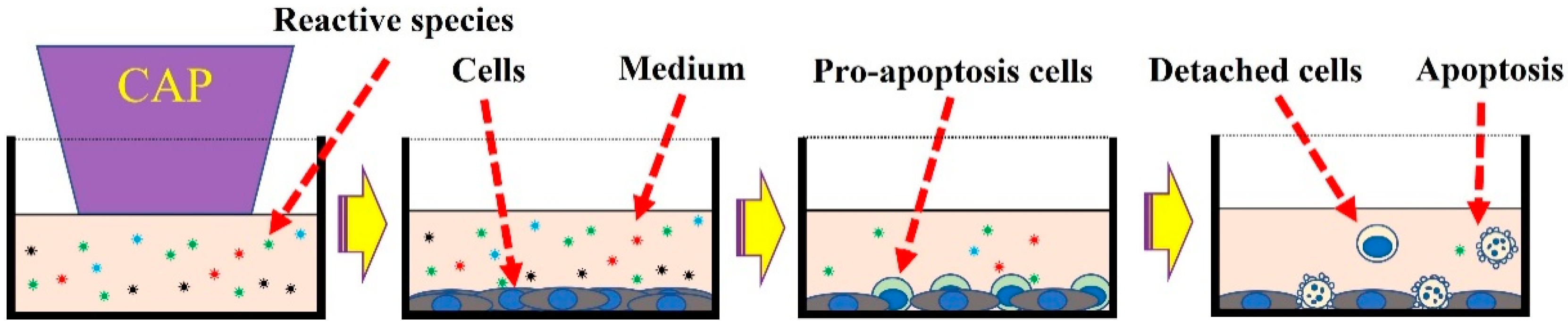 Applsci 11 07757 g002