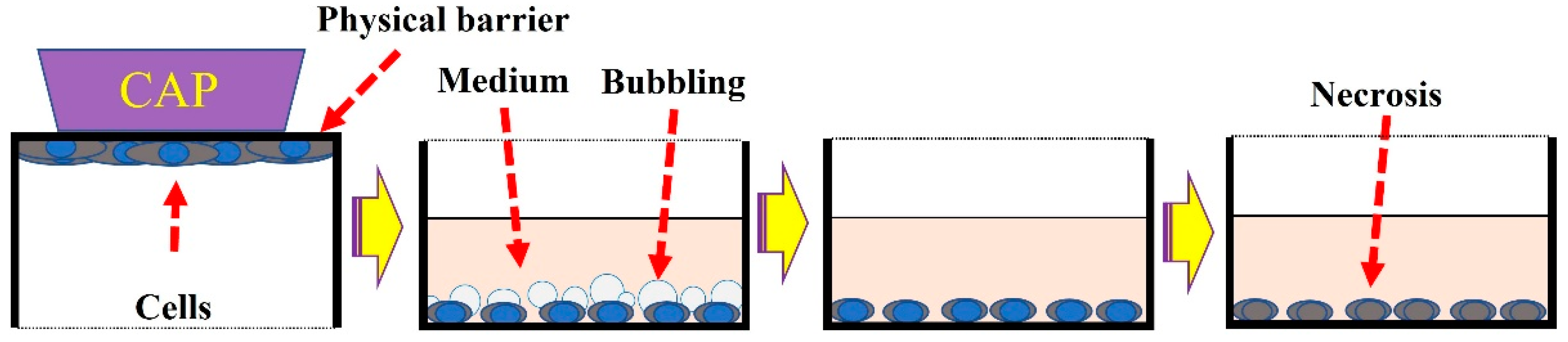 Applsci 11 07757 g004