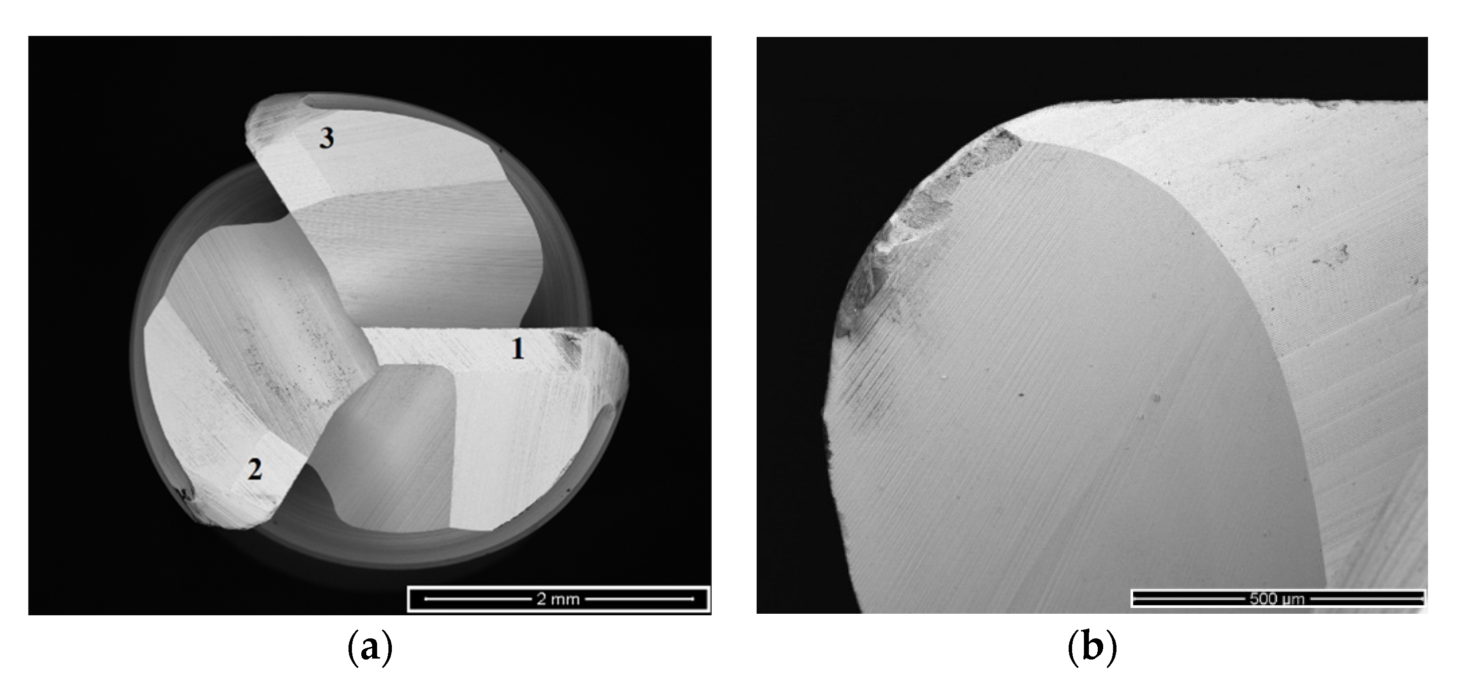 Applsci 11 07762 g001