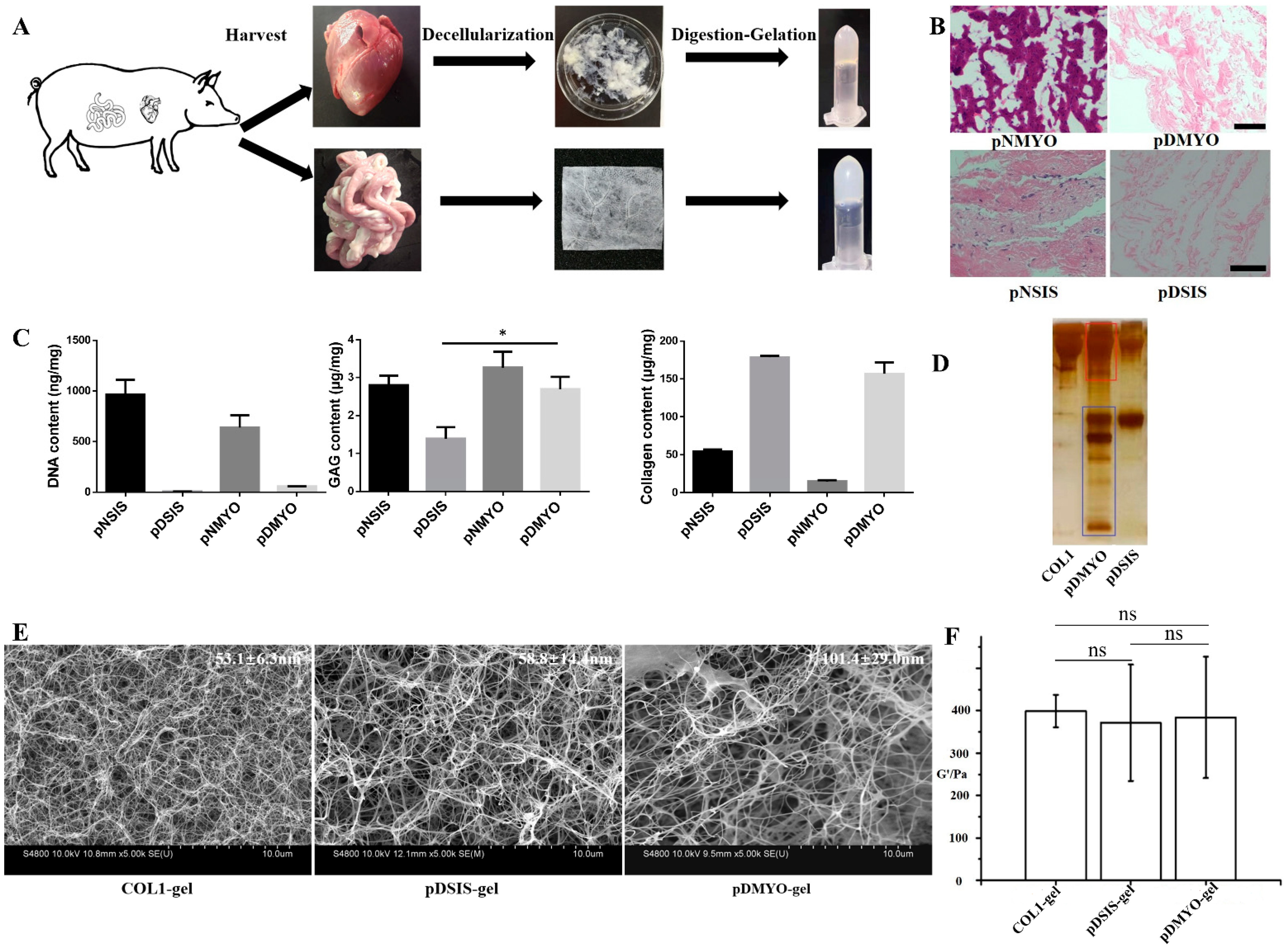 Applsci 11 07768 g001