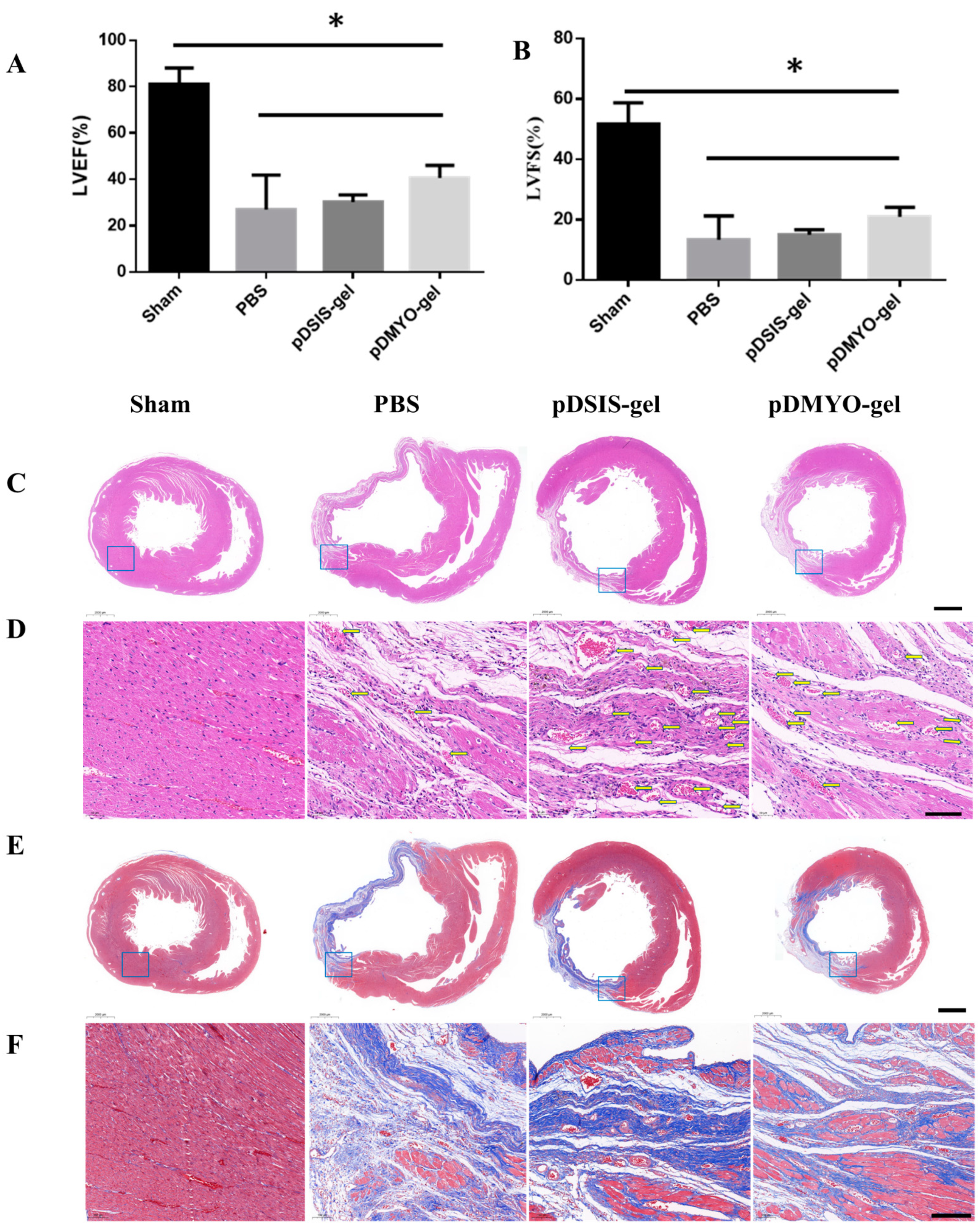 Applsci 11 07768 g005