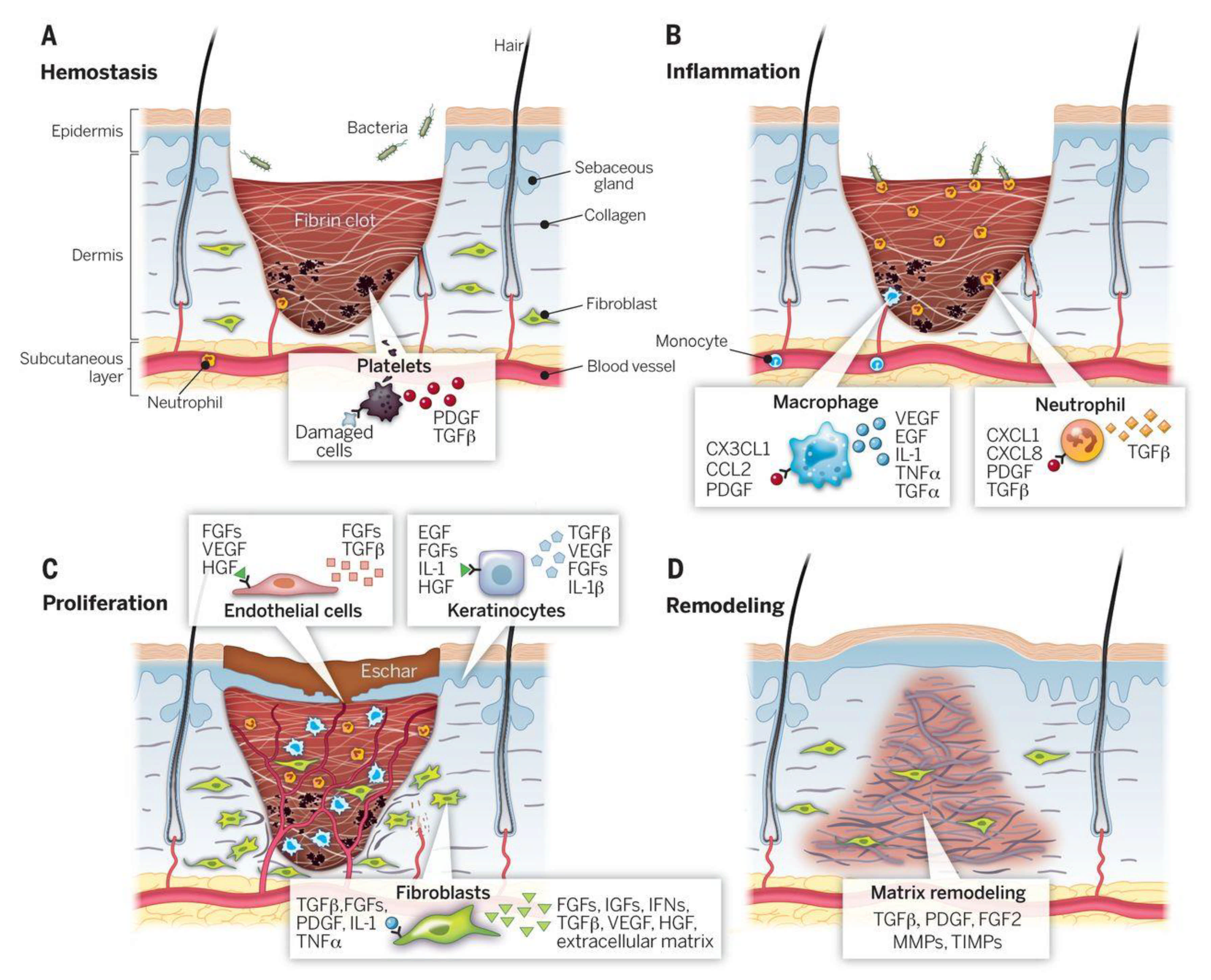 Applsci 11 07769 g001