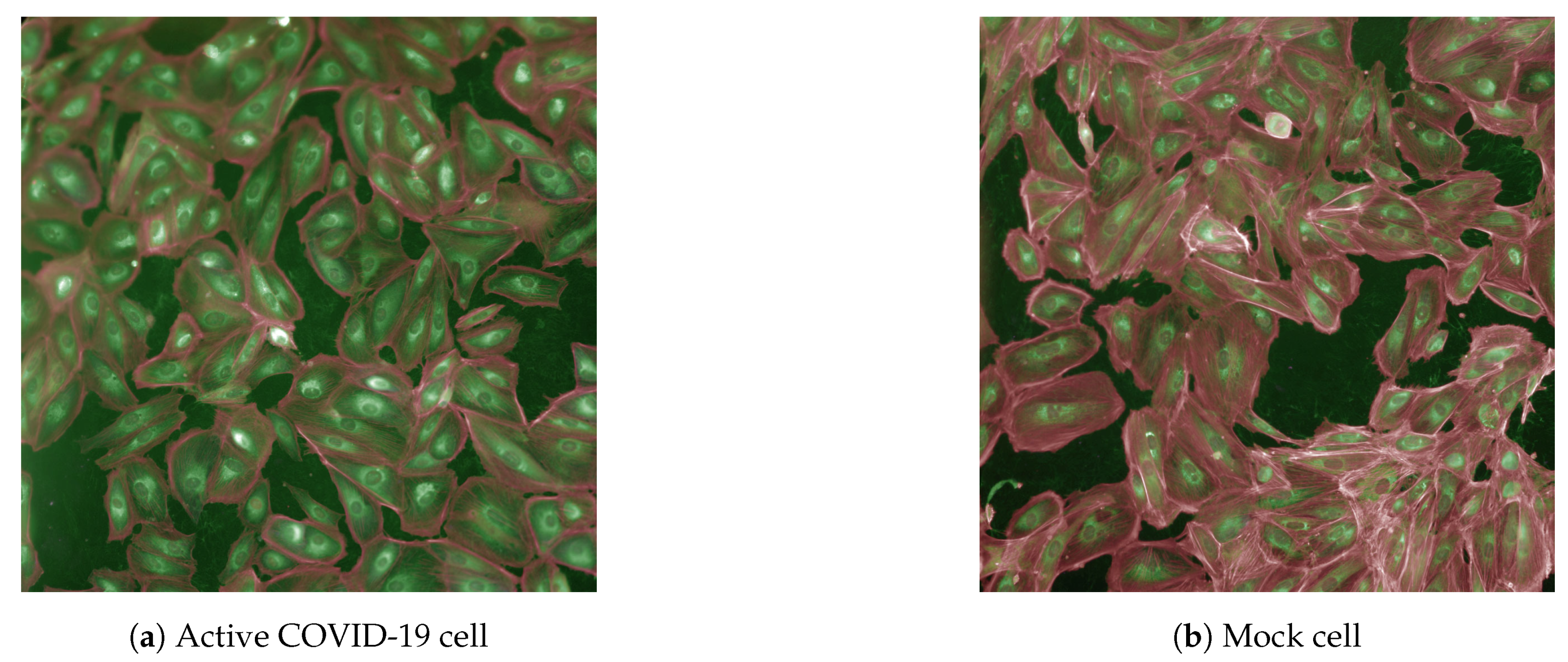 Applsci 11 07772 g001