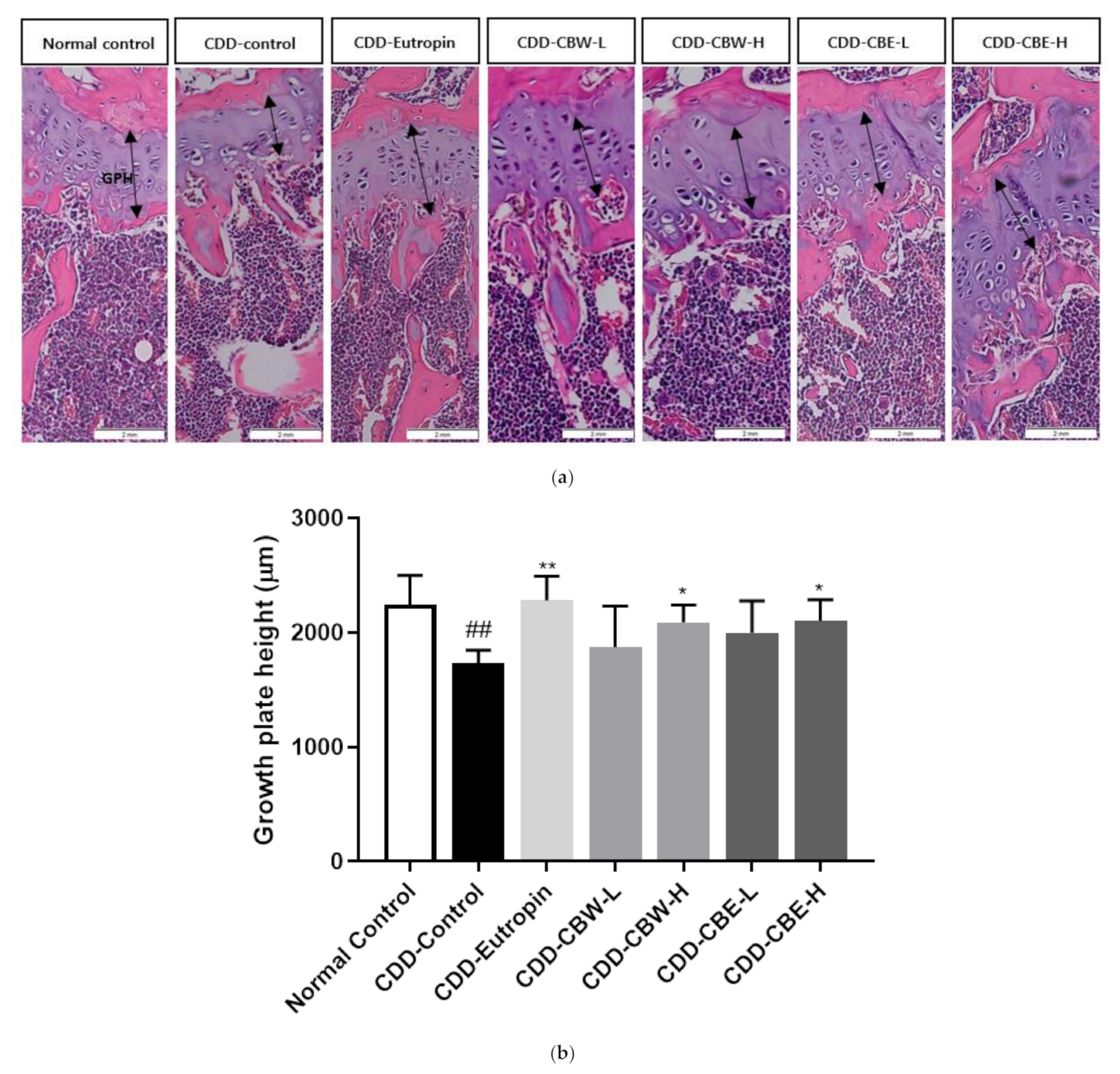Applsci 11 07786 g006