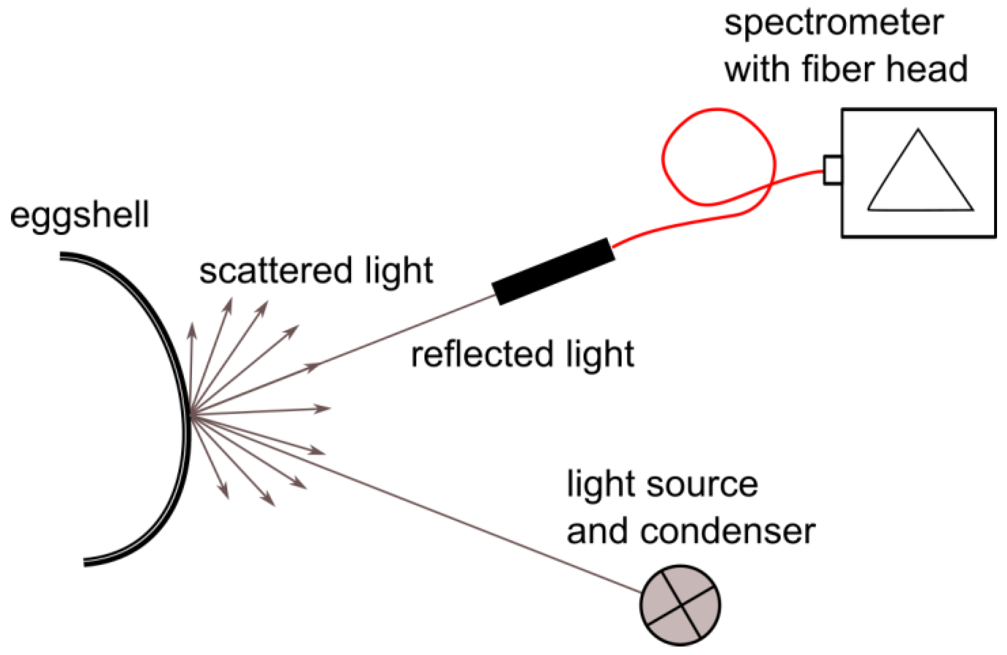 Applsci 11 07799 g001