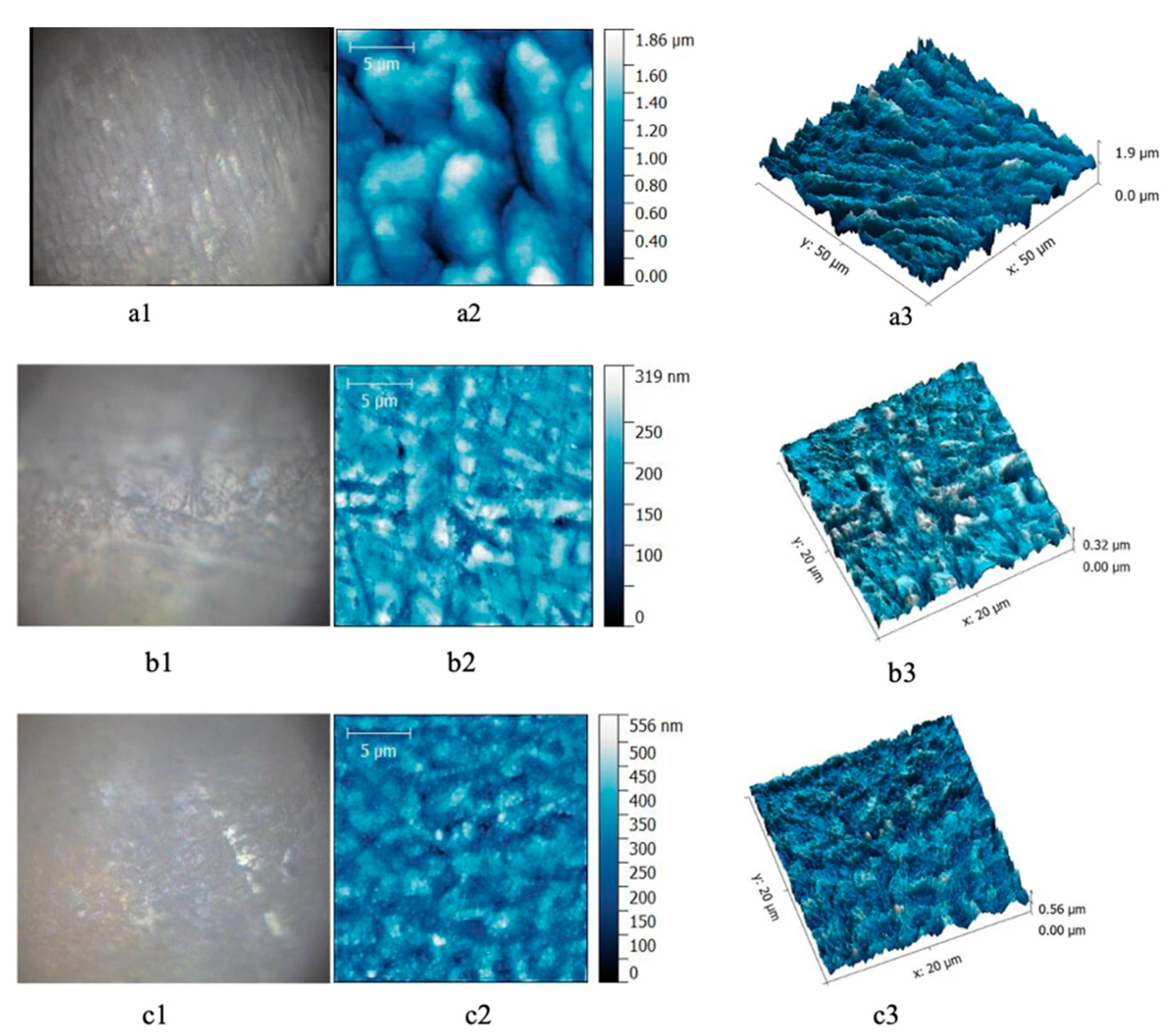 Applsci 11 07807 g002