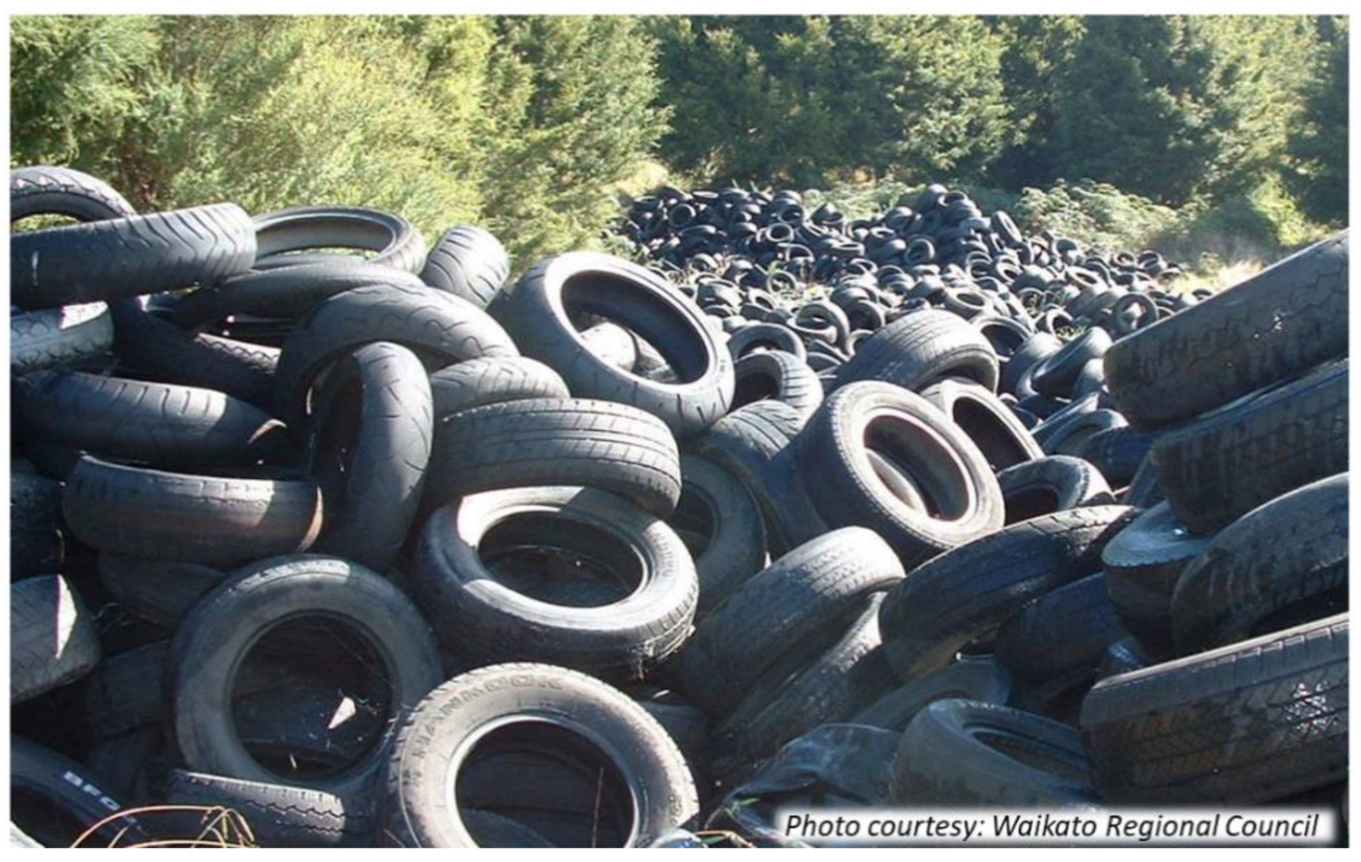 Applsci 11 07824 g001