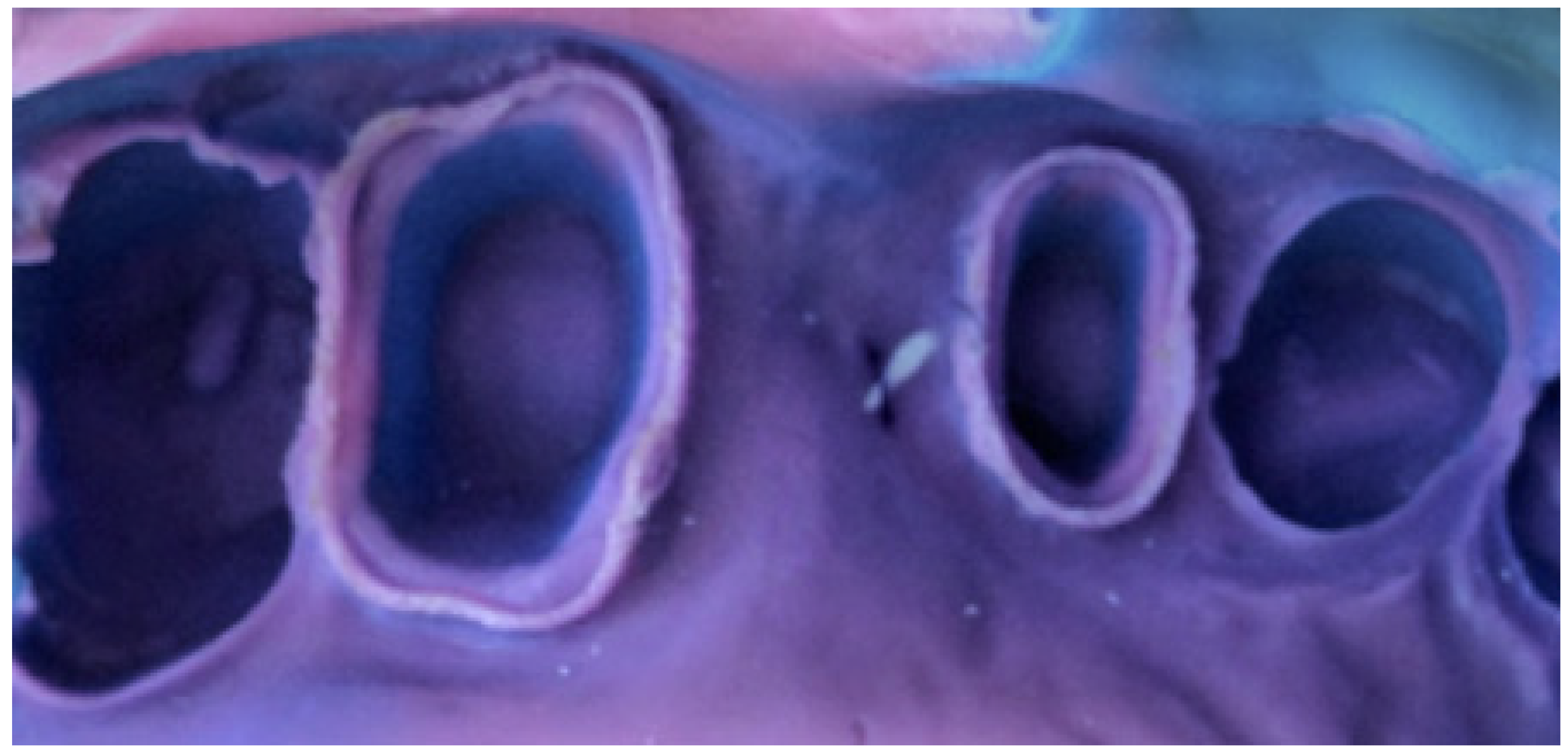 Applsci 11 07845 g001