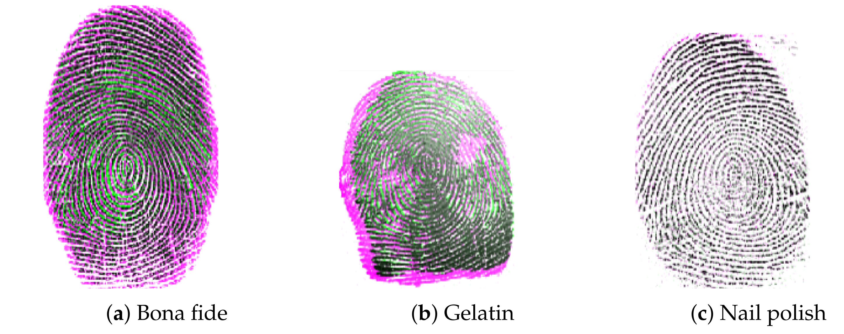Applsci 11 07883 g003 Applsci 11 07883 g003