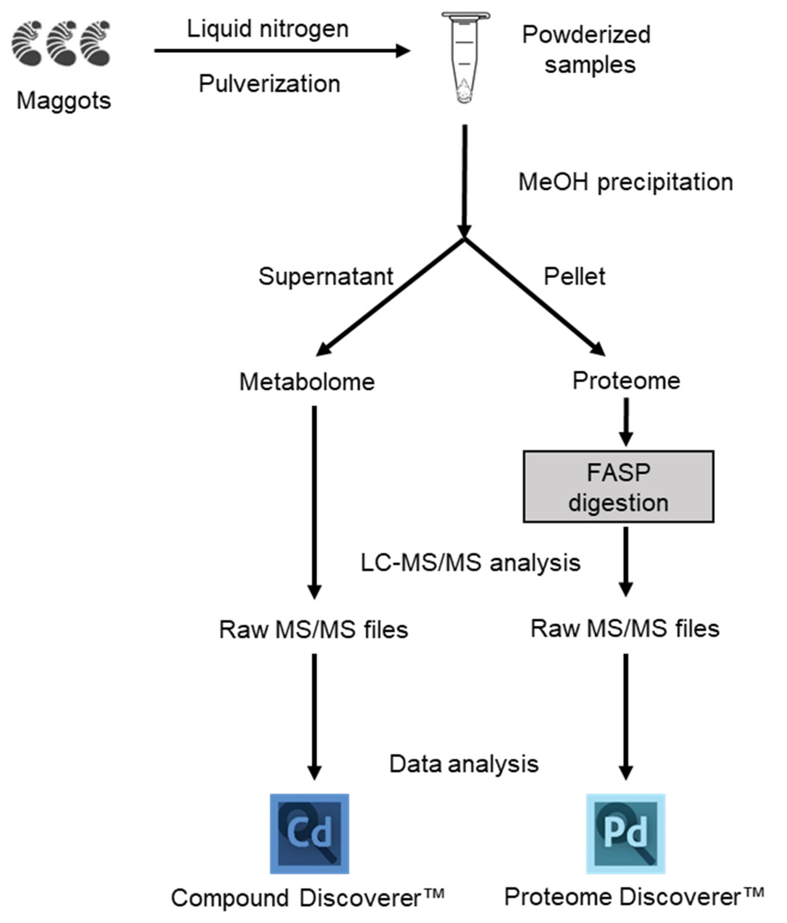 Applsci 11 07885 g001