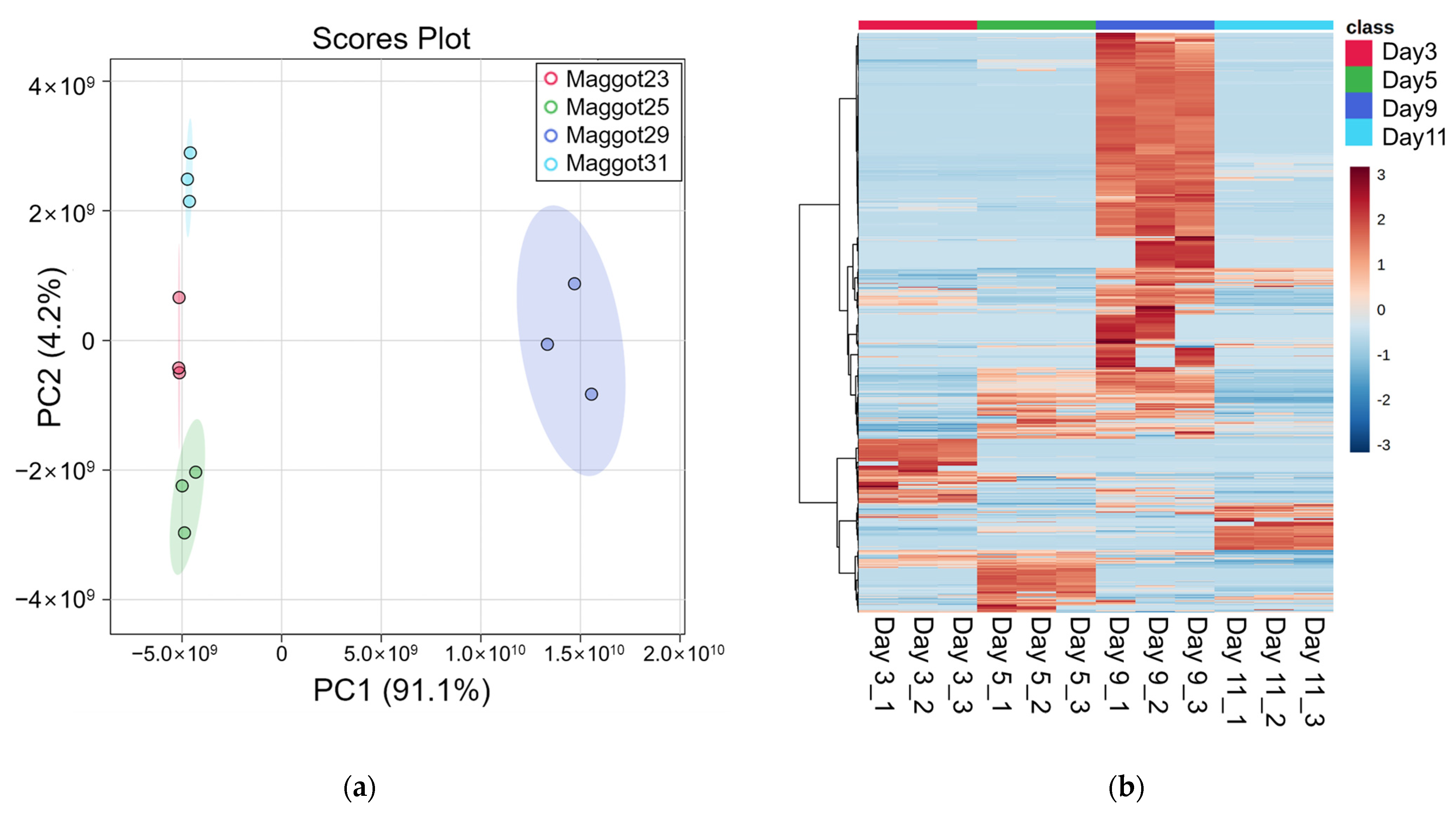Applsci 11 07885 g002