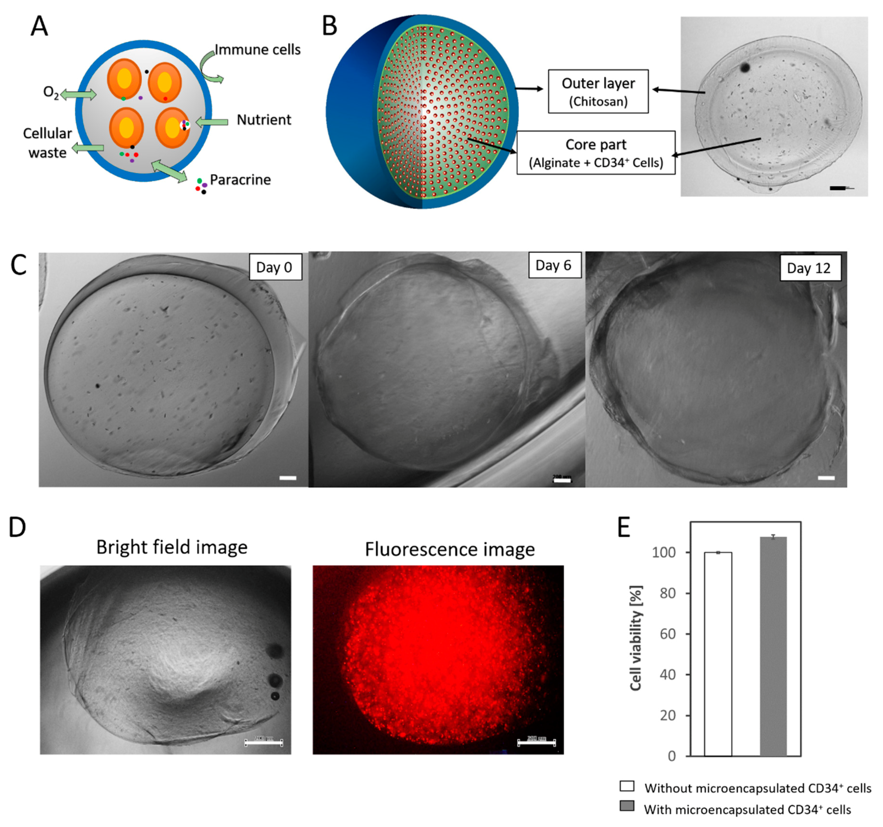 Applsci 11 07887 g001