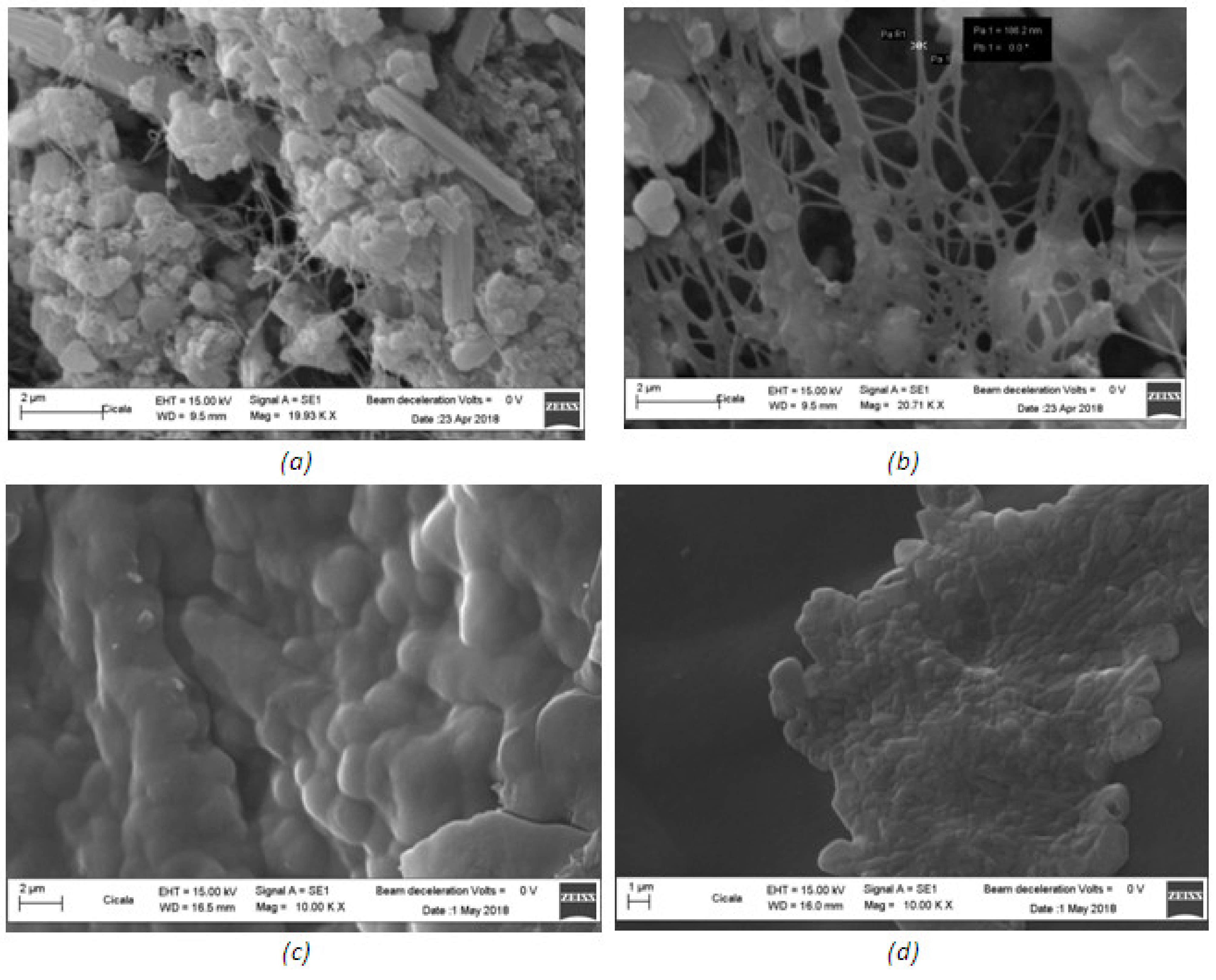 Applsci 11 07903 g006