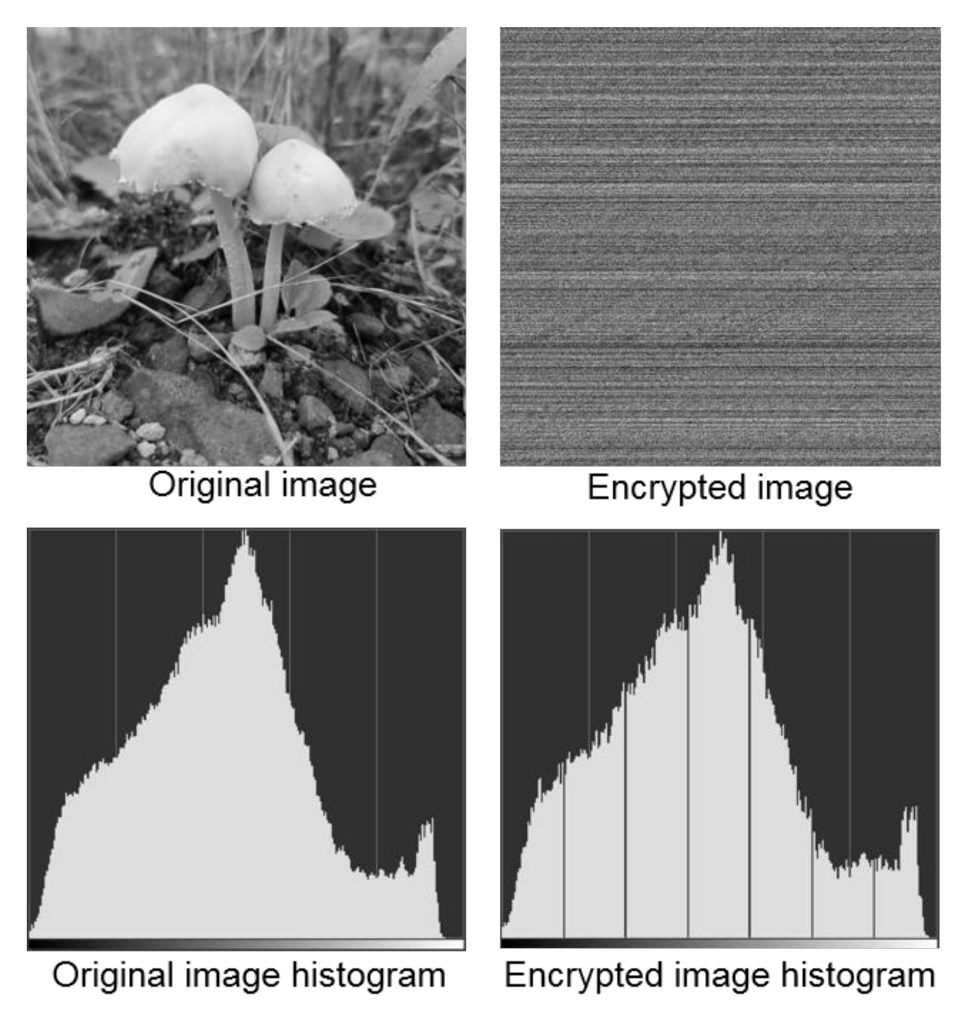 Applsci 11 07915 g005