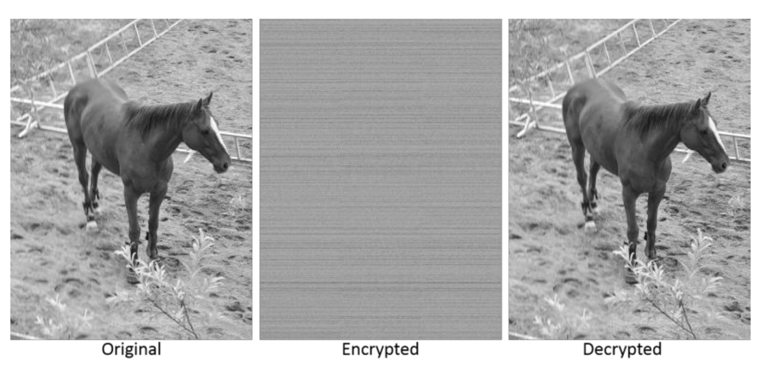 Applsci 11 07915 g010