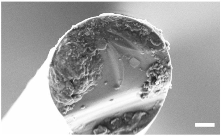 Applsci 11 07927 g010