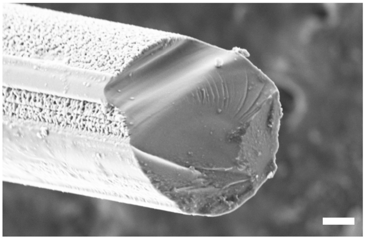 Applsci 11 07927 g011