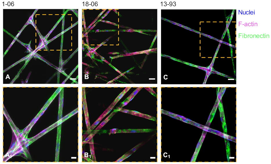 Applsci 11 07927 g014