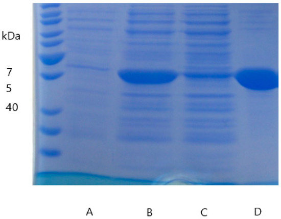 Applsci 11 07941 g0a3 550