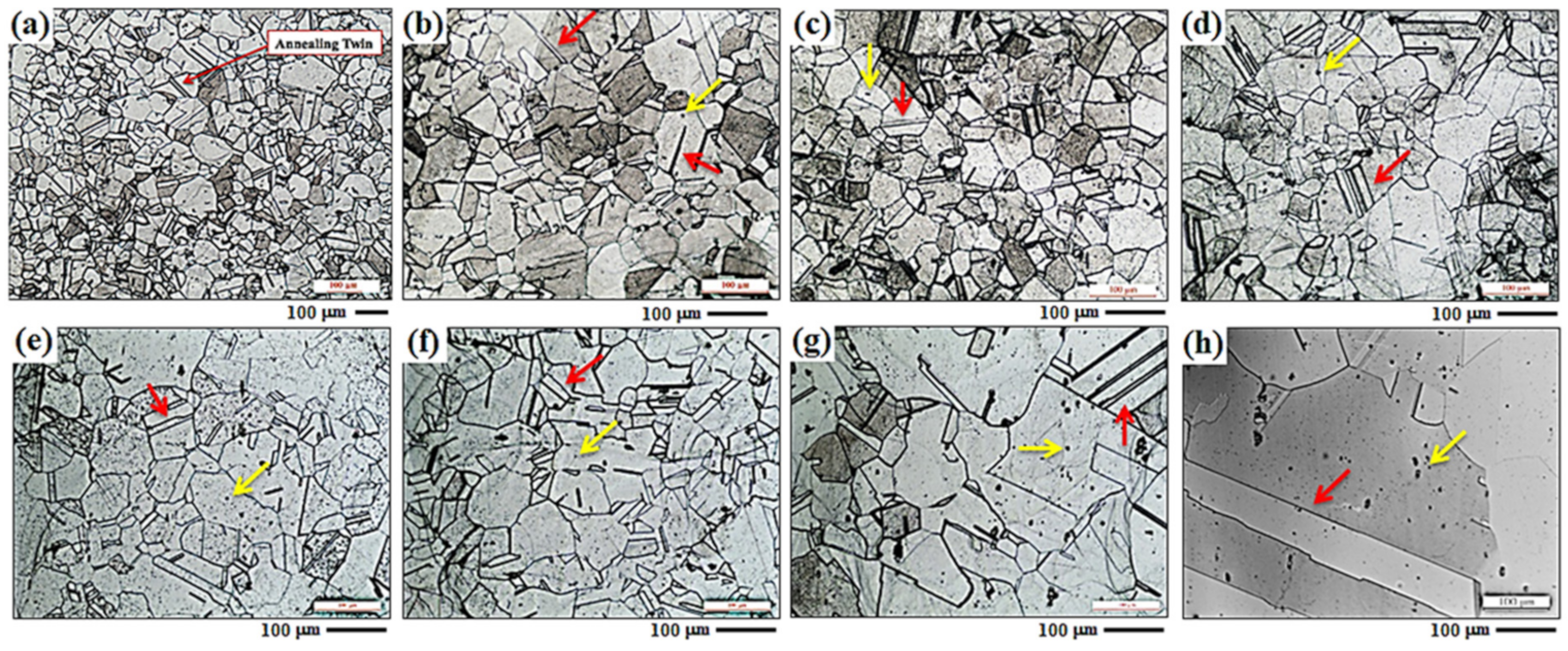 Applsci 11 07951 g001