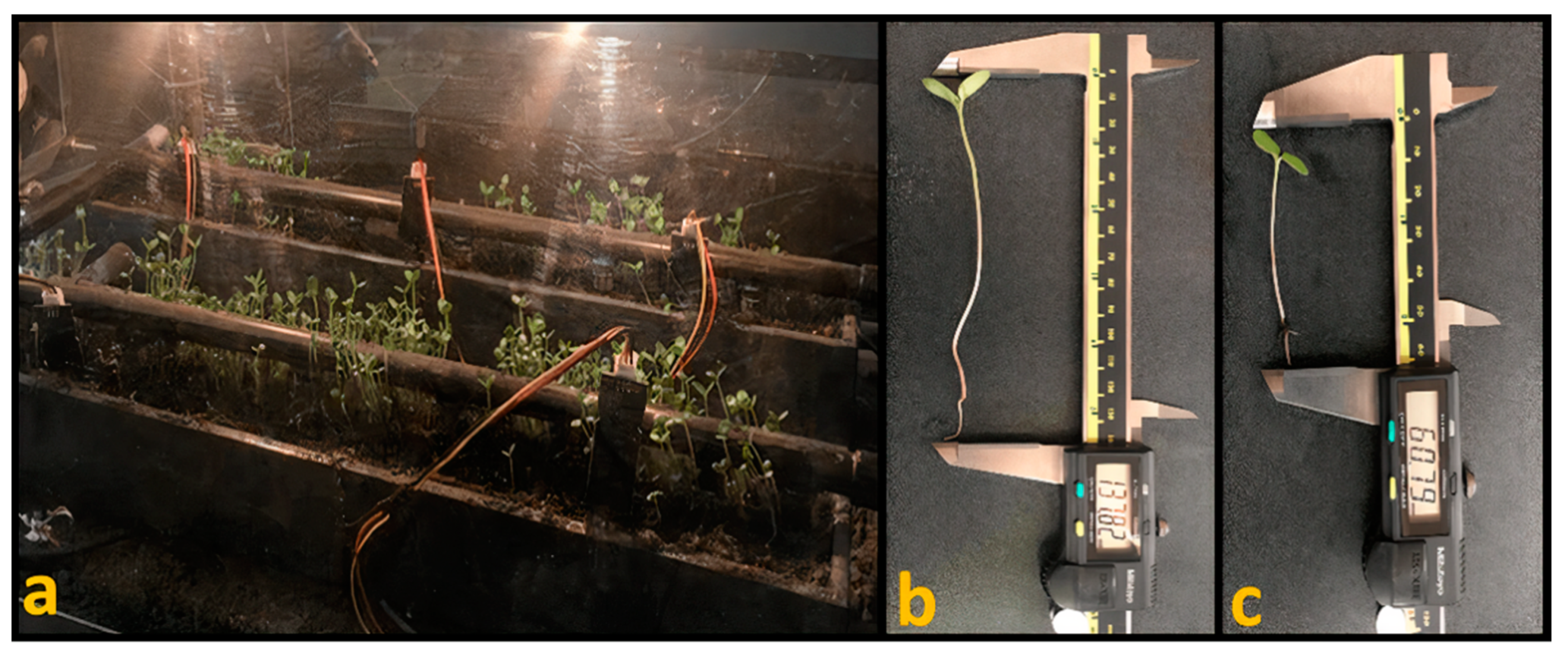 Applsci 11 07957 g007